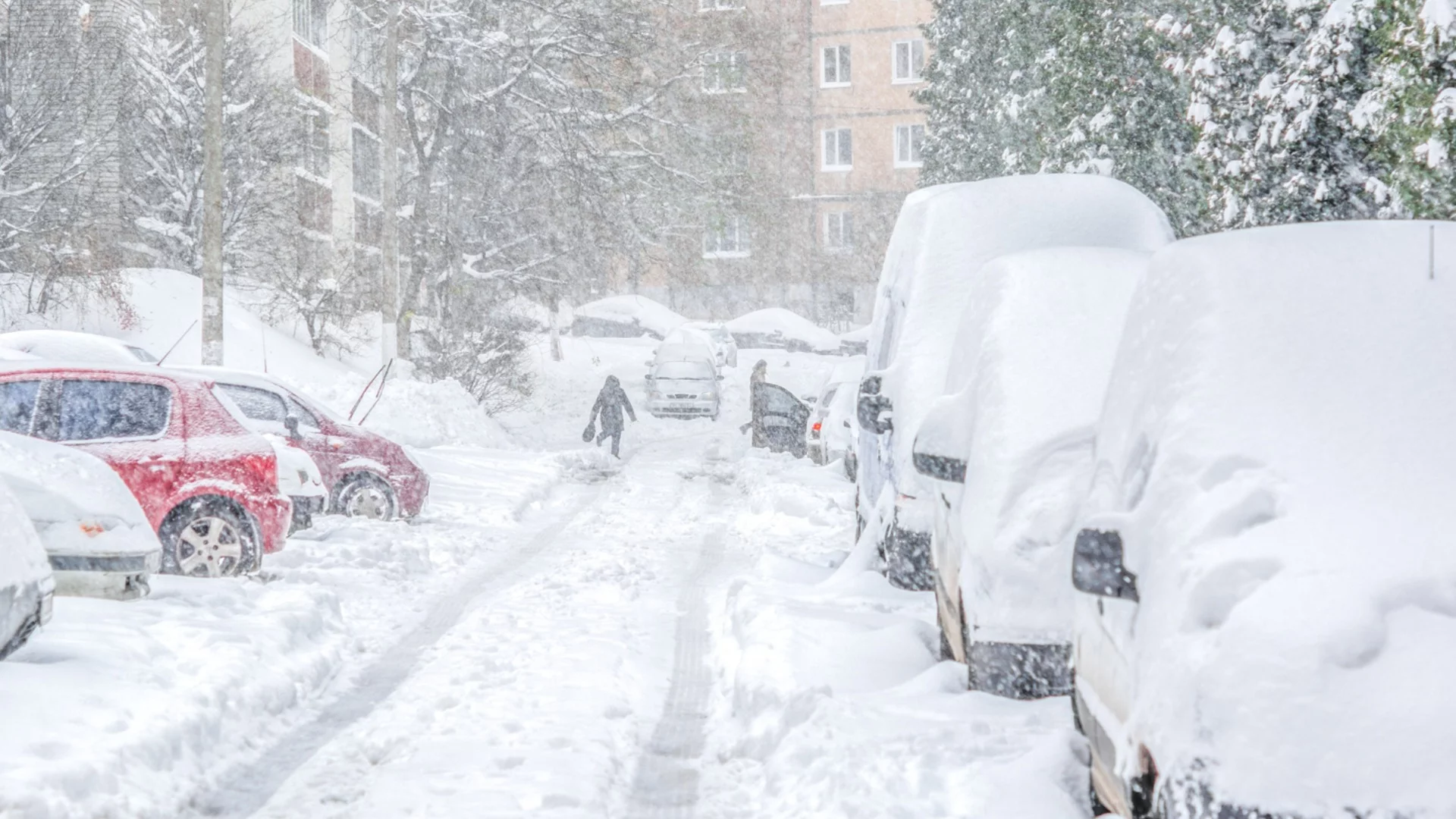 Отменени полети и паднали дървета: Снежна буря връхлетя Москва (ВИДЕО)
