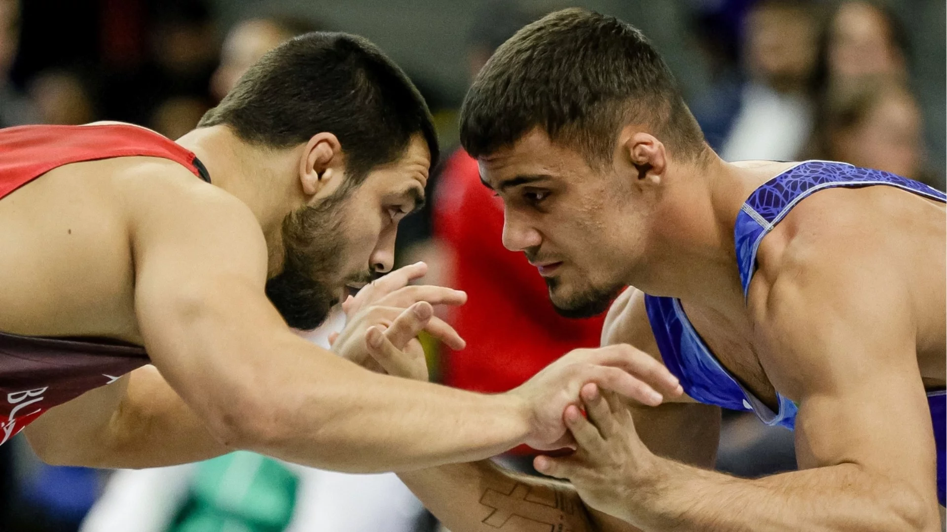 България се утвърди като четвърта сила в Европа: Борците ни с впечатляващ пробив в Тирана