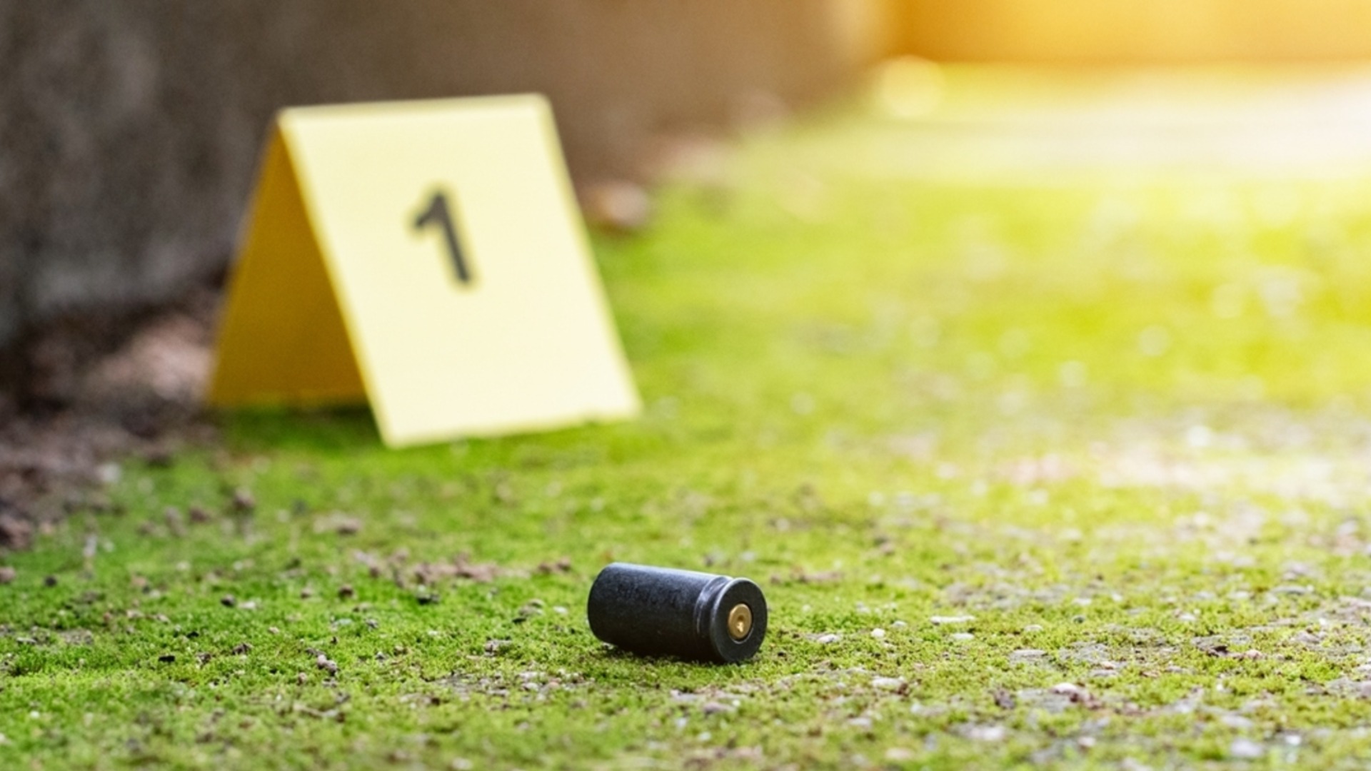 Разстреляха мъж и жена в Албания с 30 куршума (ВИДЕО)