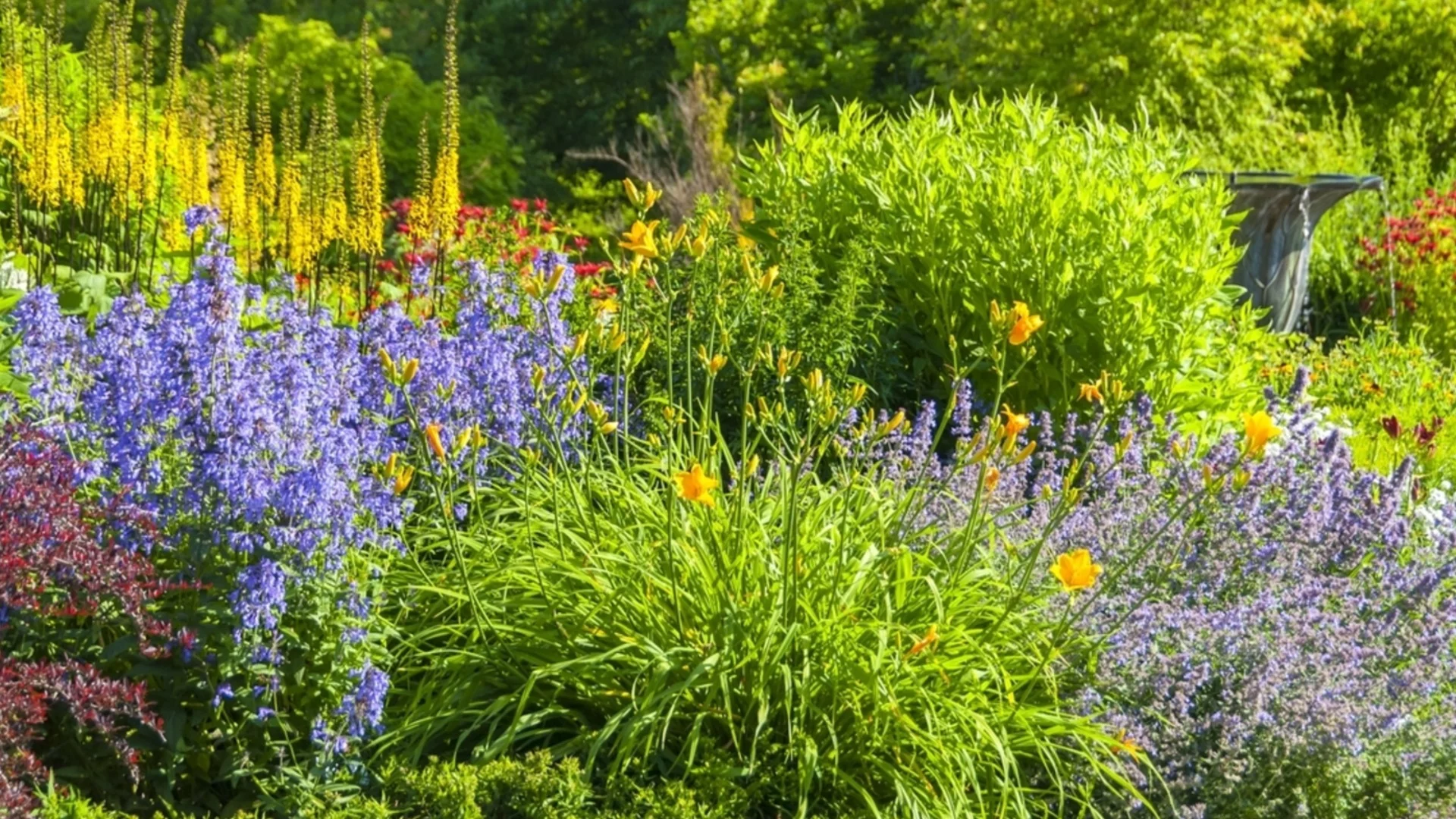 Учени: Растенията могат да „крещят“, просто досега не сме ги чували