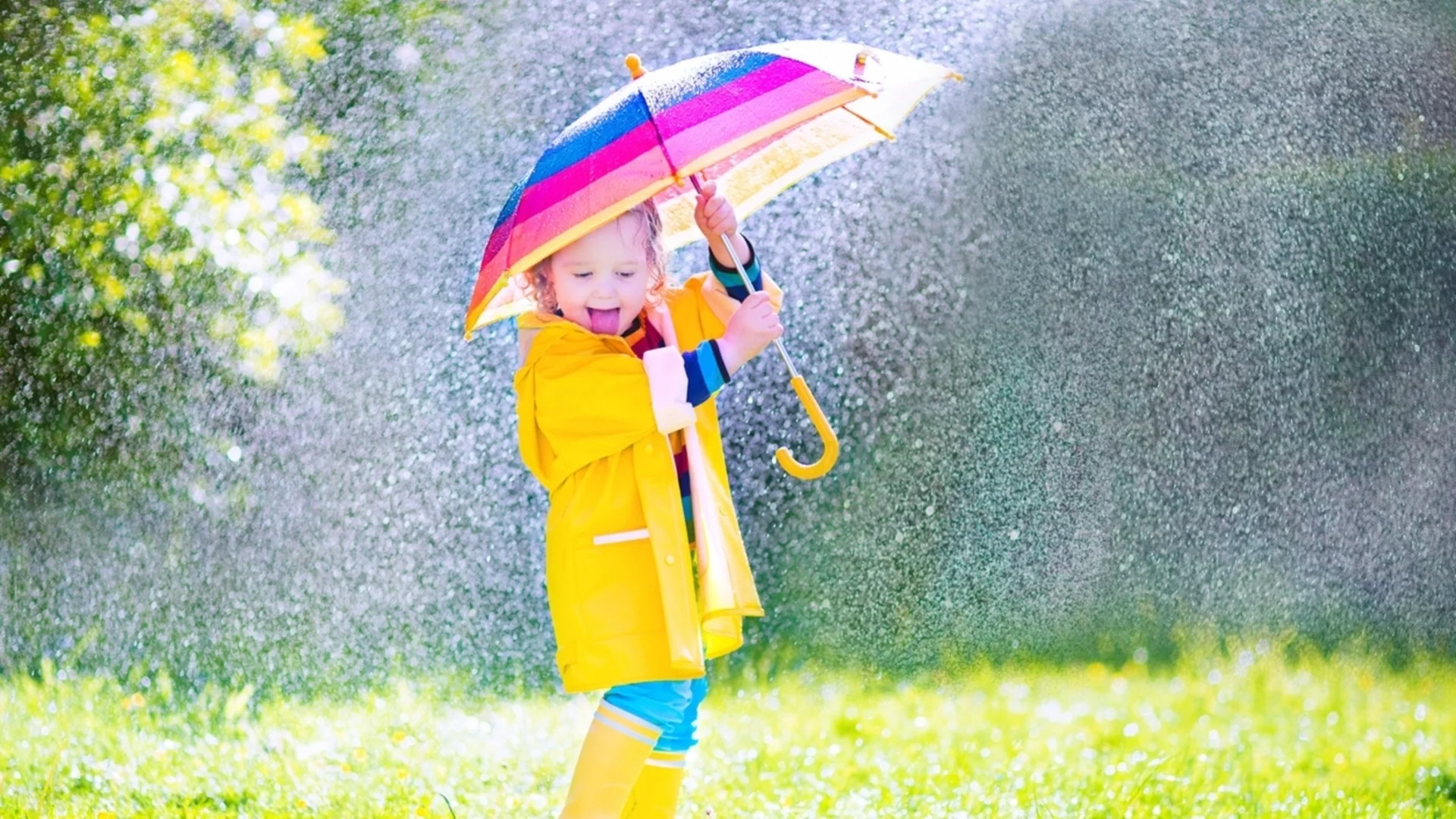 От пролет към есен и обратно: Николай Василковски с изненадваща прогноза за края на април