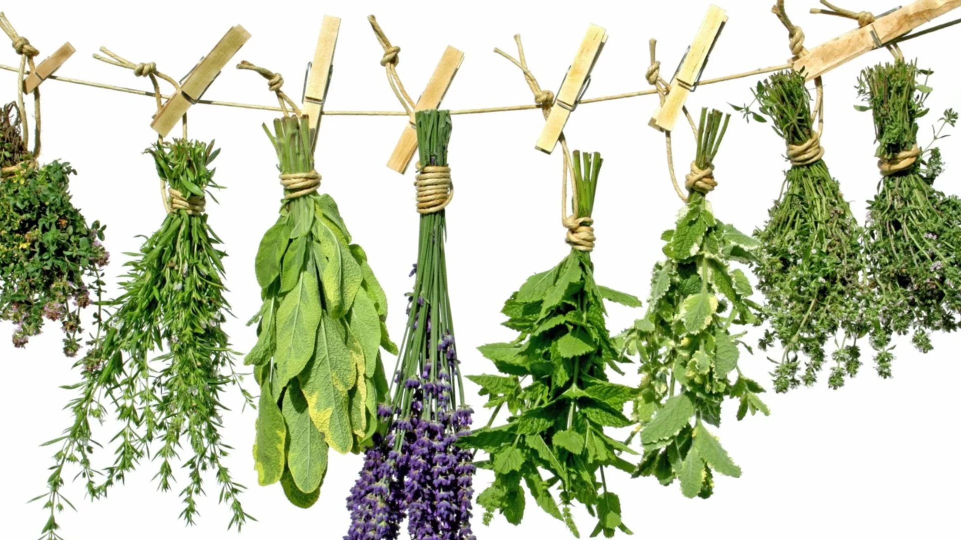 Как да превърнете кухнята си в билкова градина