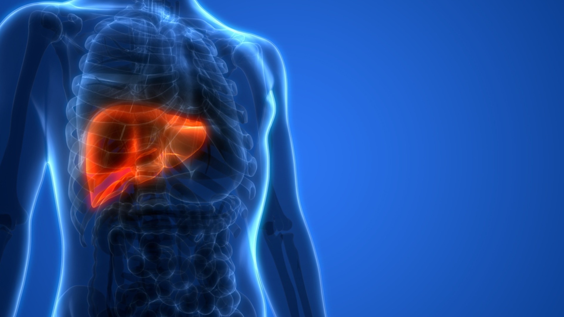 Учени: Кой плод трябва да ядете всеки ден, за да подобрите здравето на черния дроб