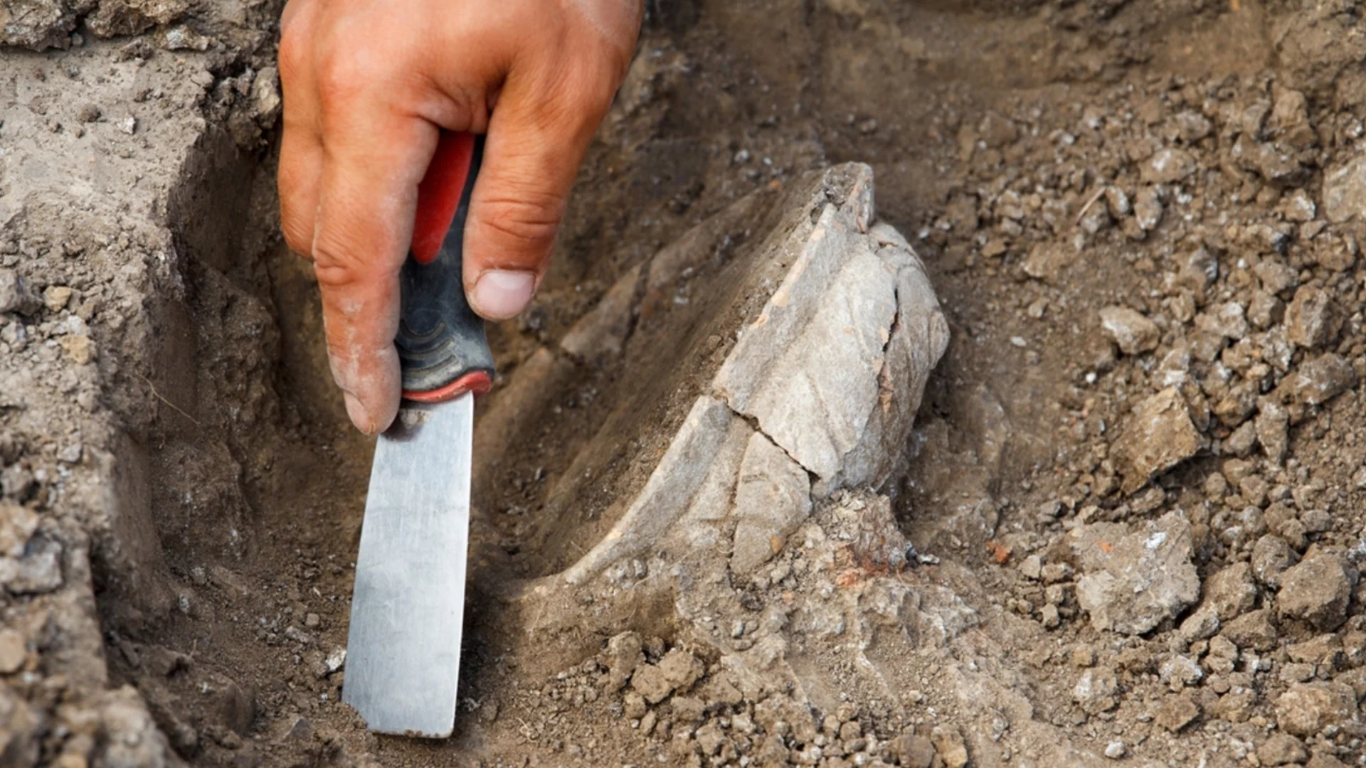 Археолози откриха най-старото вино в света - съставът му ги изненада