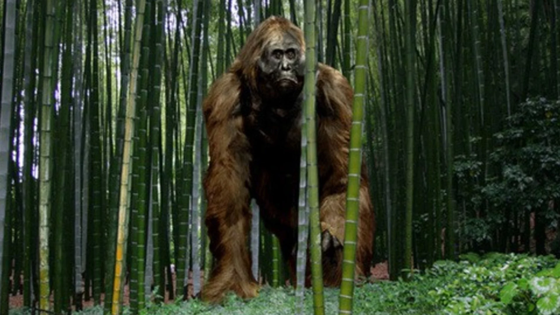 Еволюционна мистерия: Предците на бозайниците са снасяли яйца