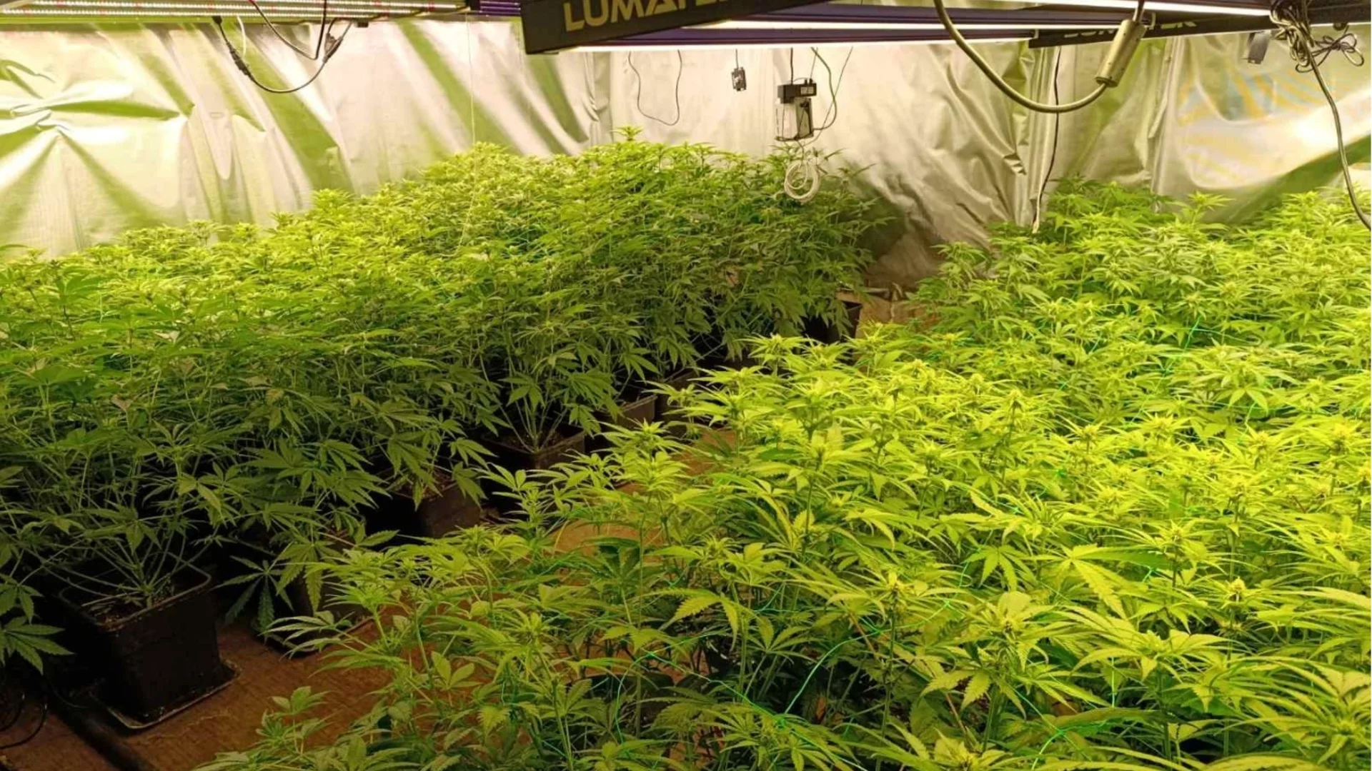 Разбиха модерна ферма за канабис в мина край Кюстендил (СНИМКИ)