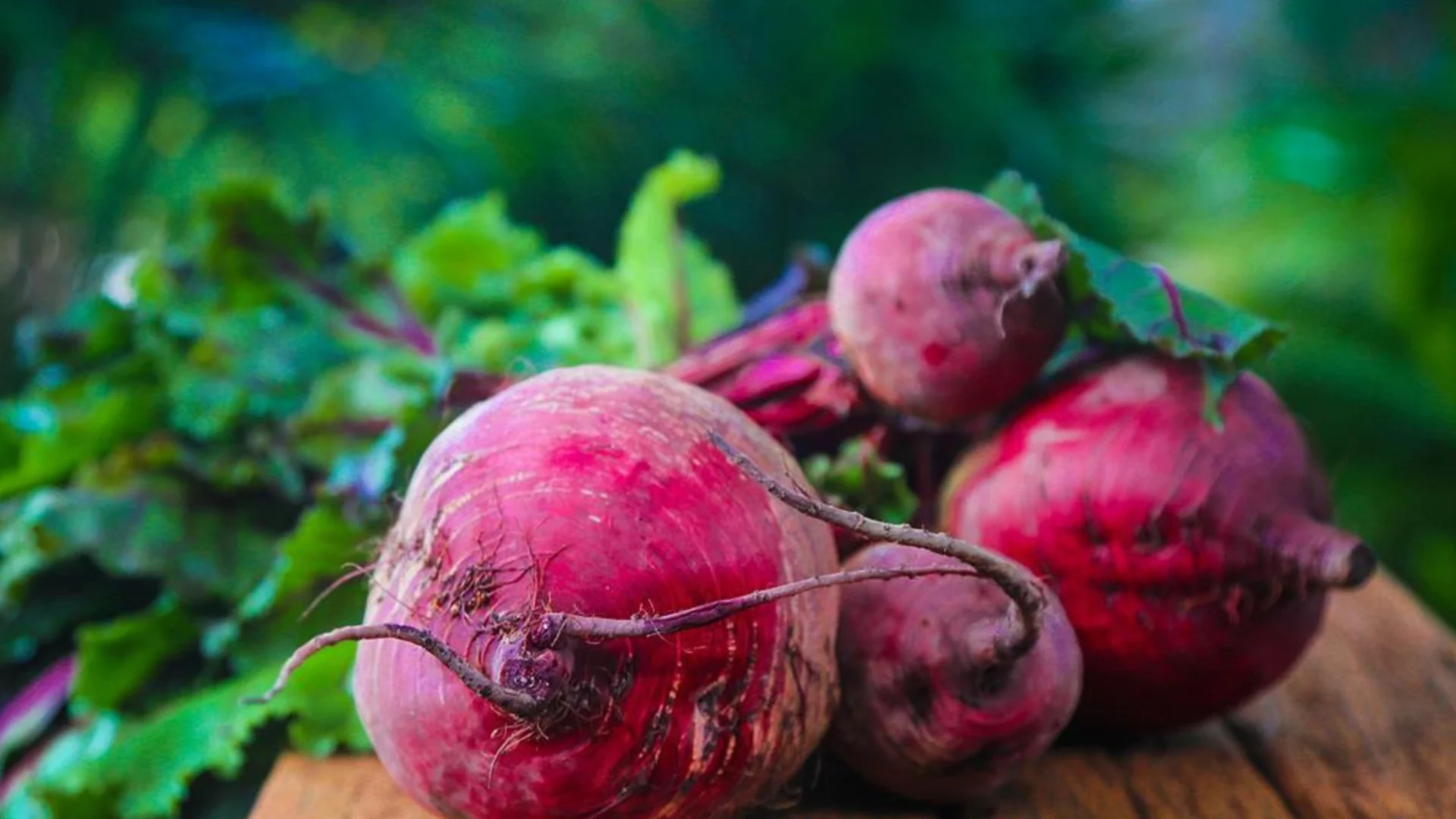 Как да отглеждате цвекло в саксии за богата реколта