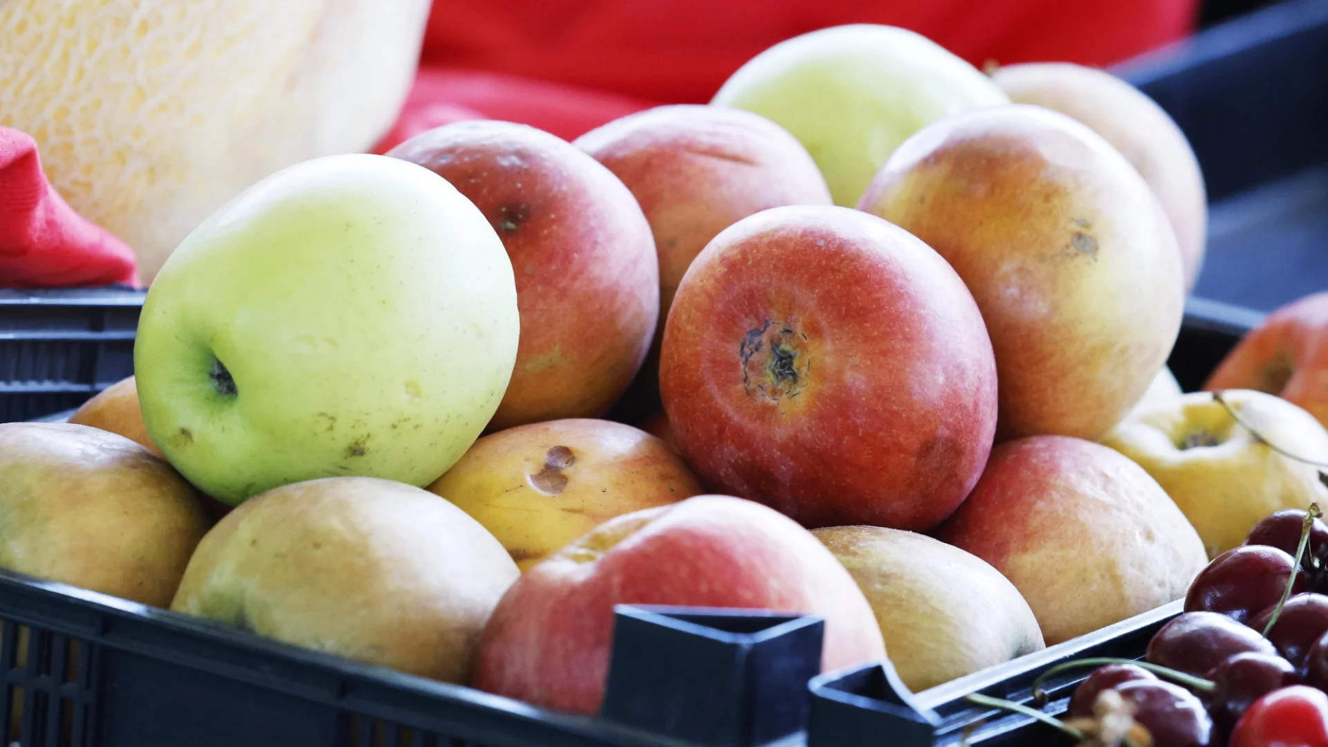 В Чукотка ябълките са по 11 евро килограма - констатация на пълномощник на Путин 