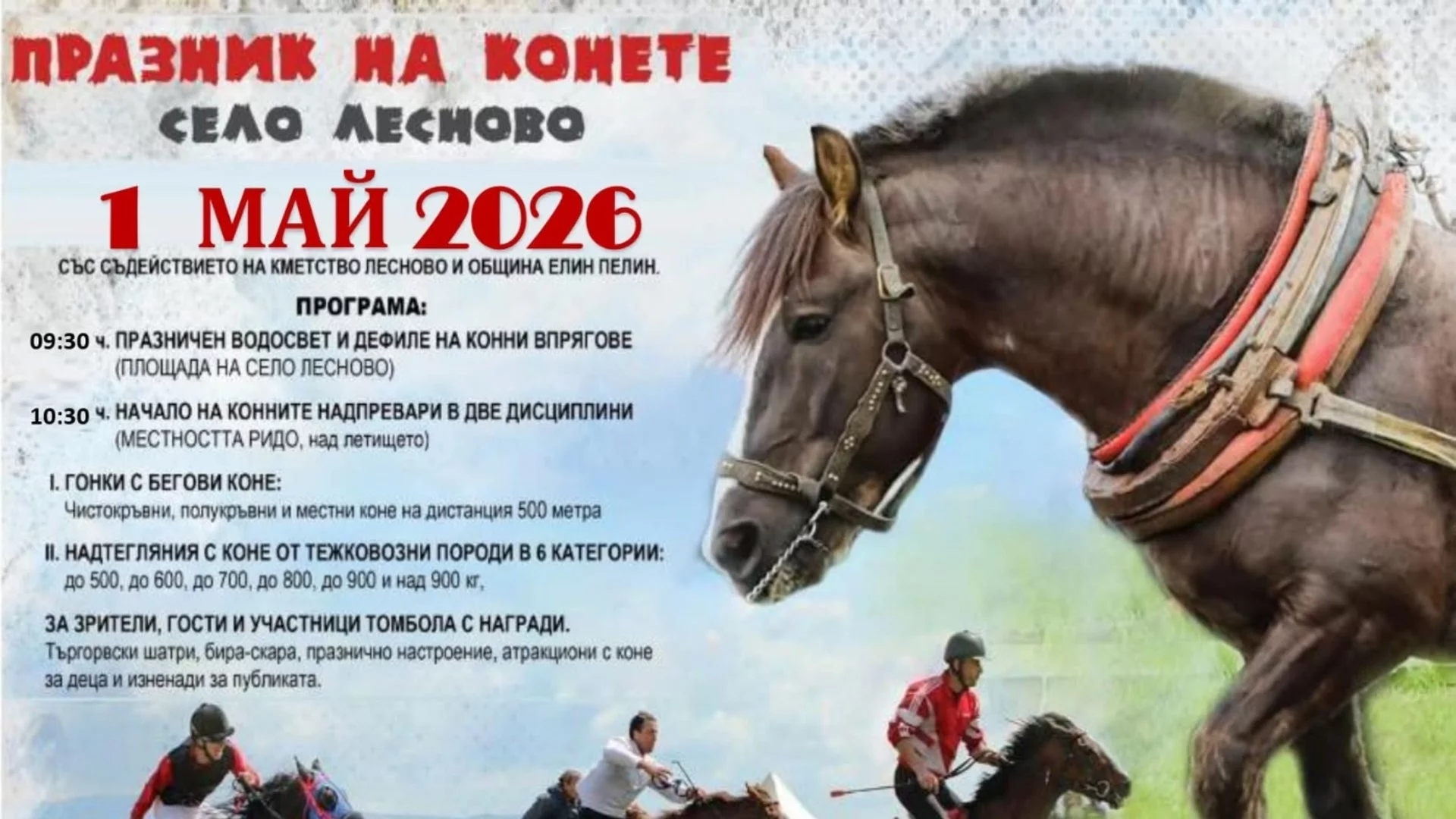 В село до Елин Пелин предстои Празник на конете