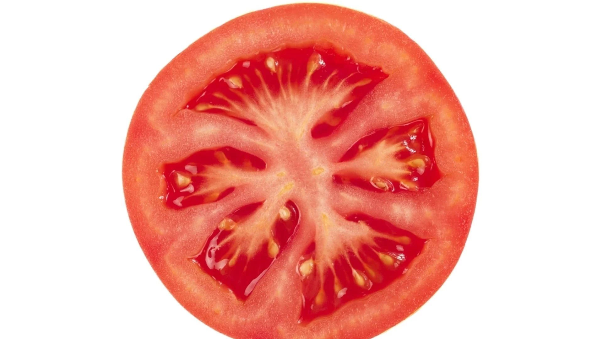 Как лесно да съберете семена от домати в хартиена кърпа