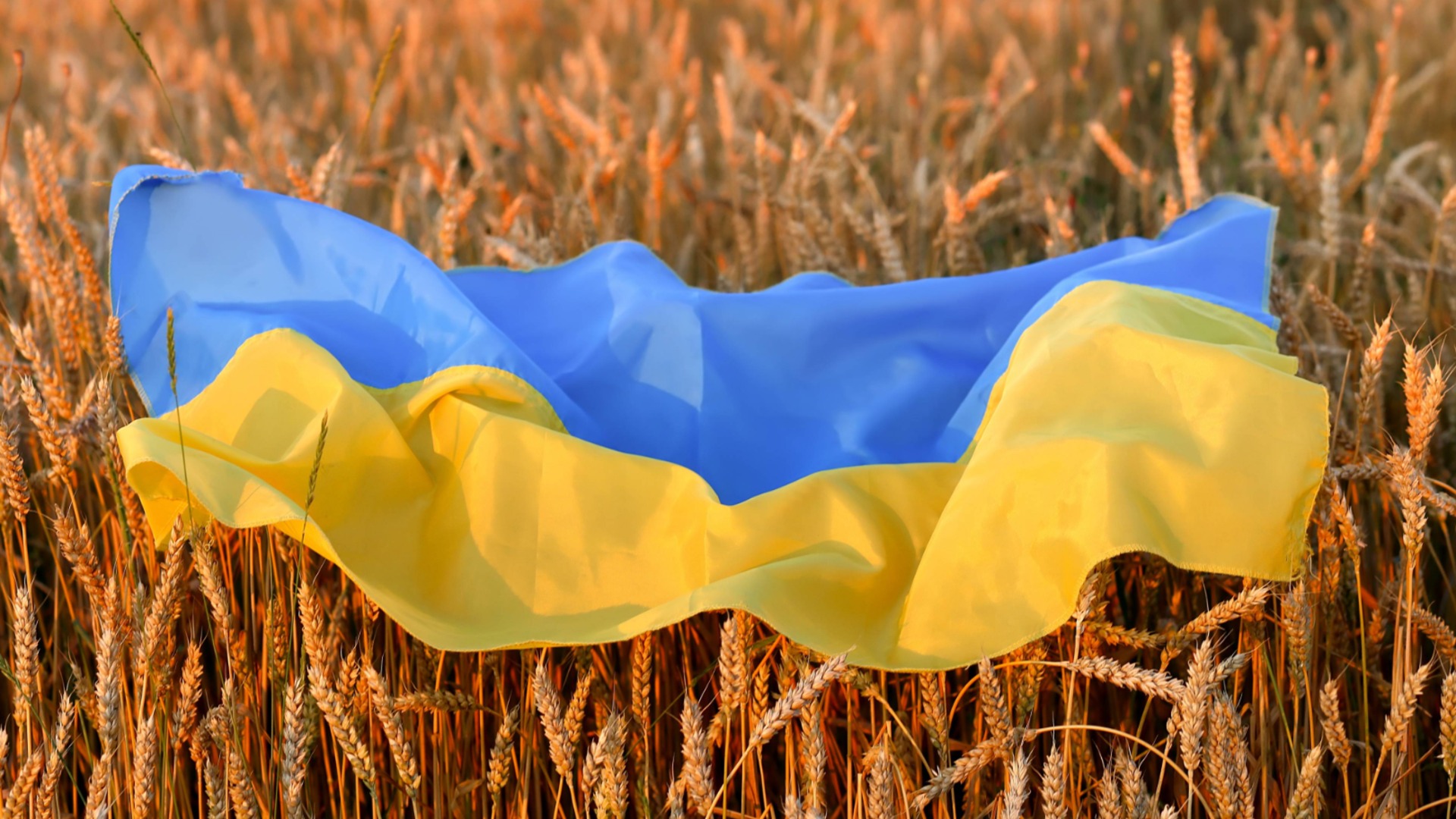 Киев призова Израел да задържи кораб, превозващ откраднато украинско зърно
