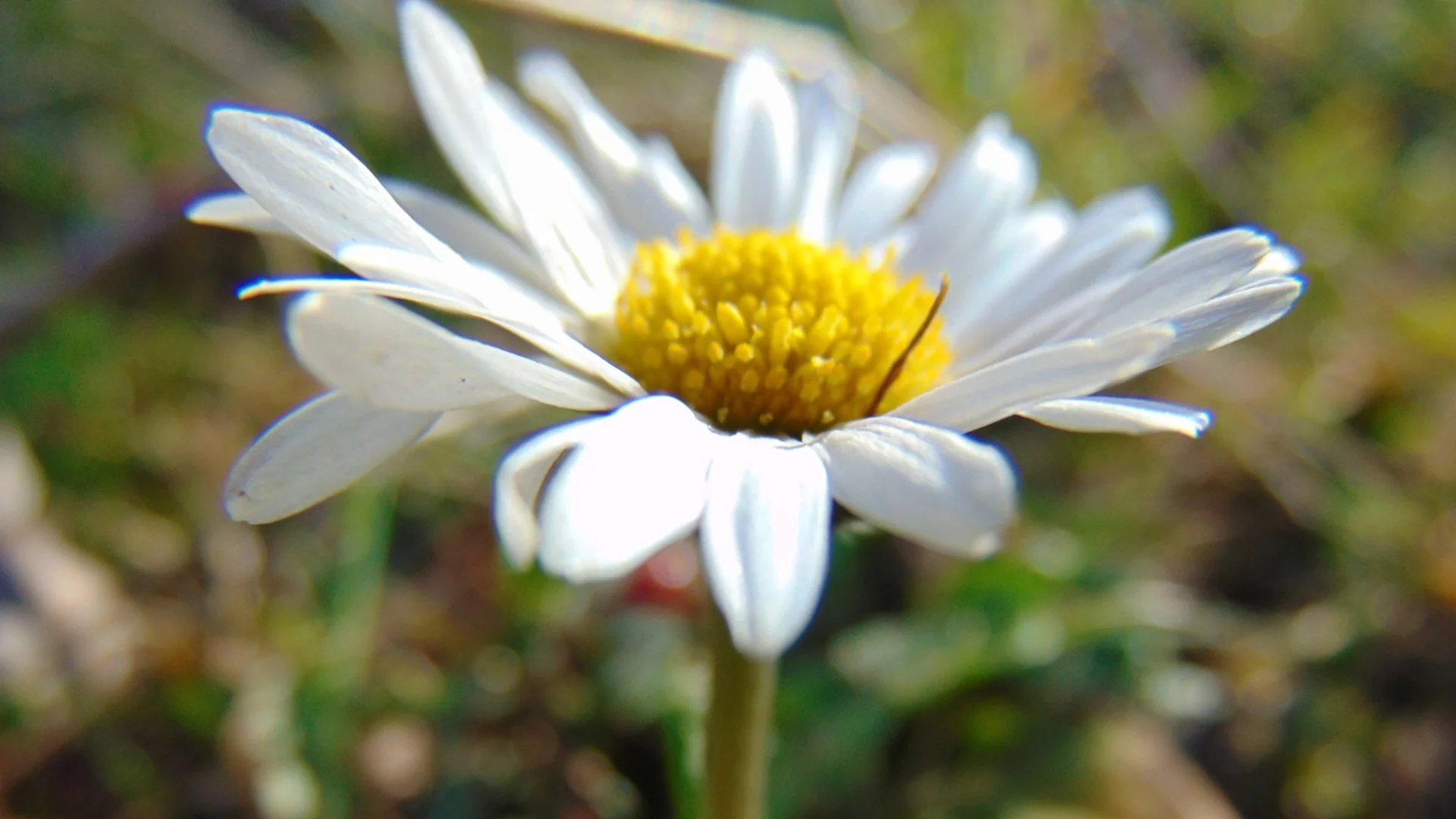 Прогноза за времето - 1 май 2026 г. (петък)