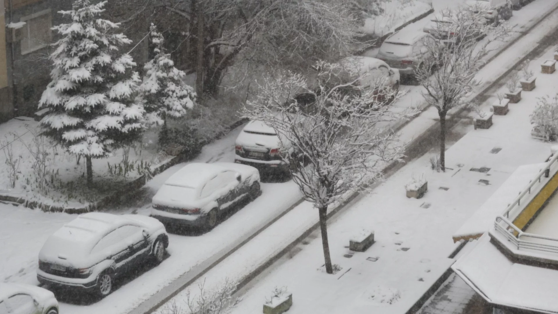 Сняг в Сърбия: Вижте как натрупа (ВИДЕО)