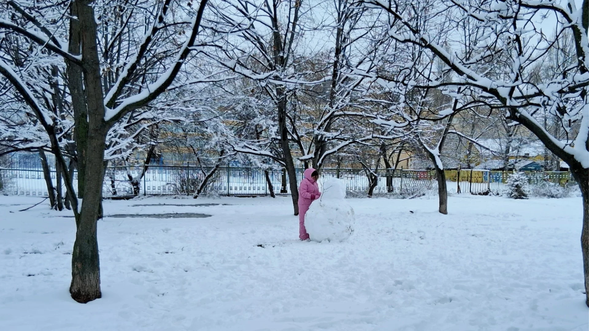 Сняг и студ сковаха съседна Румъния (ВИДЕО)