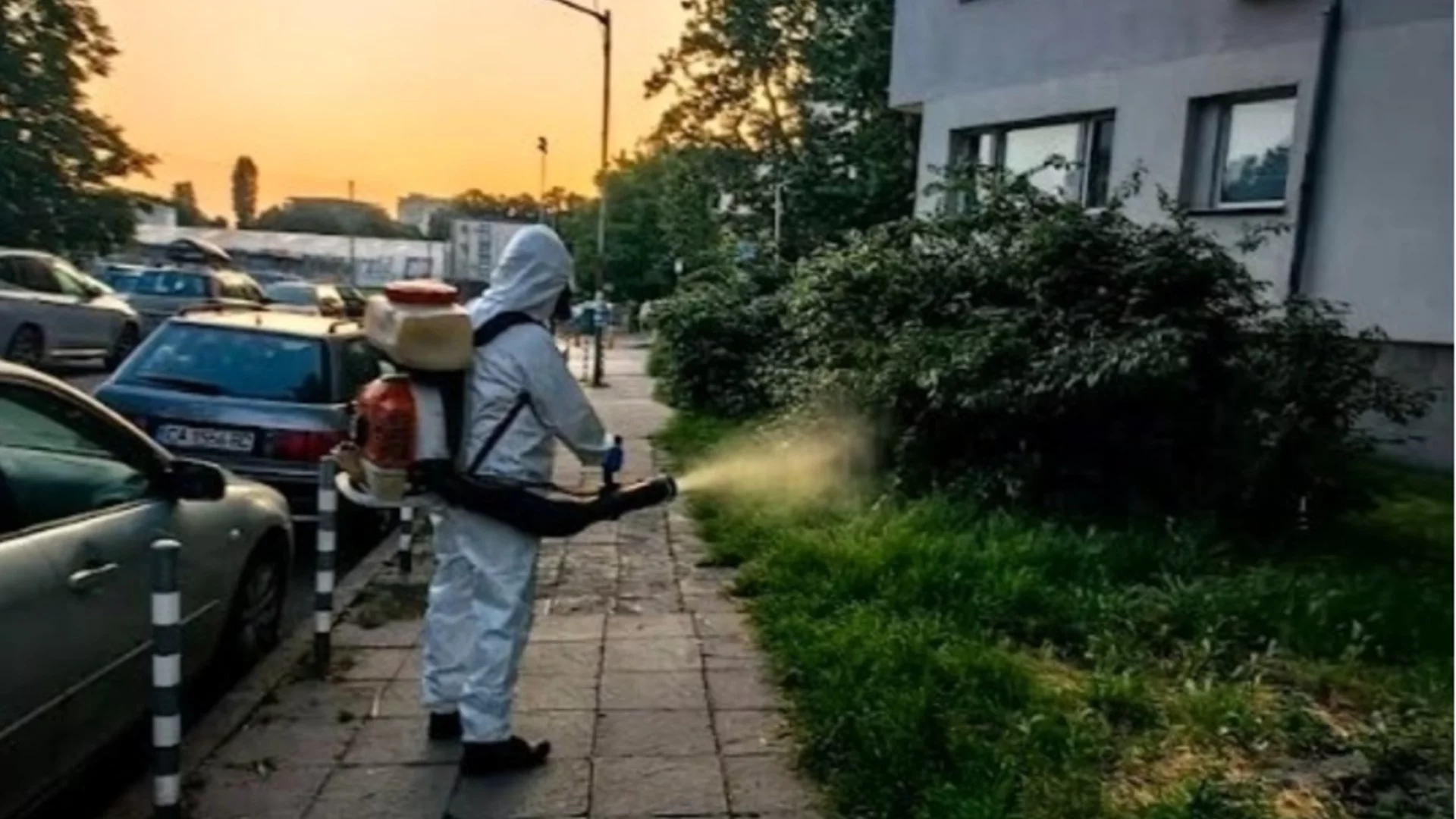 Треперете, комари: Спешно започват да пръскат в цялата страна