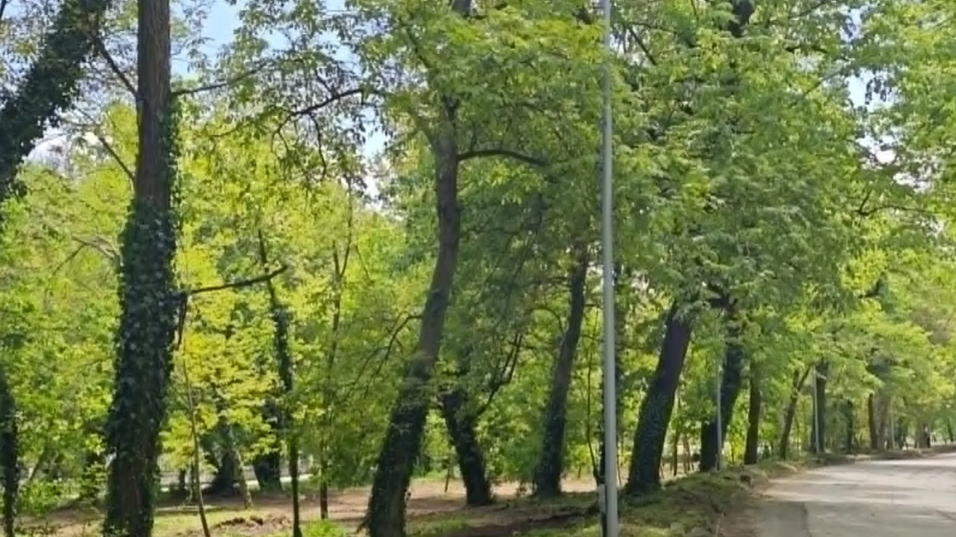 Община Плевен почиства парк „Кайлъка“ и разширява поддържаните зони