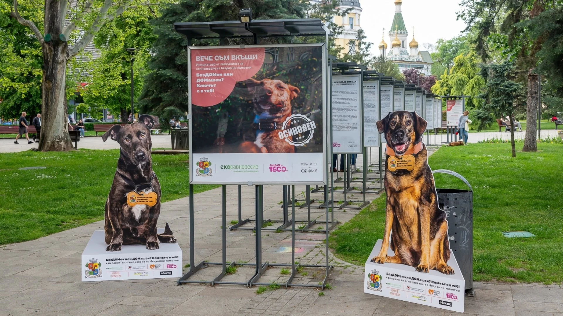 Фотоизложба "Вече съм вкъщи": Ключът към спасяването на живот е във вас (СНИМКИ)