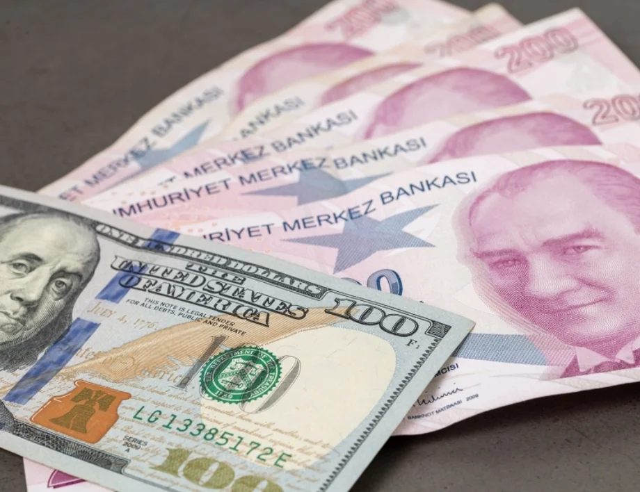 Турска лира - евро. Колко струва една турска лира към едно евро днес, 22 май /валутен калкулатор/