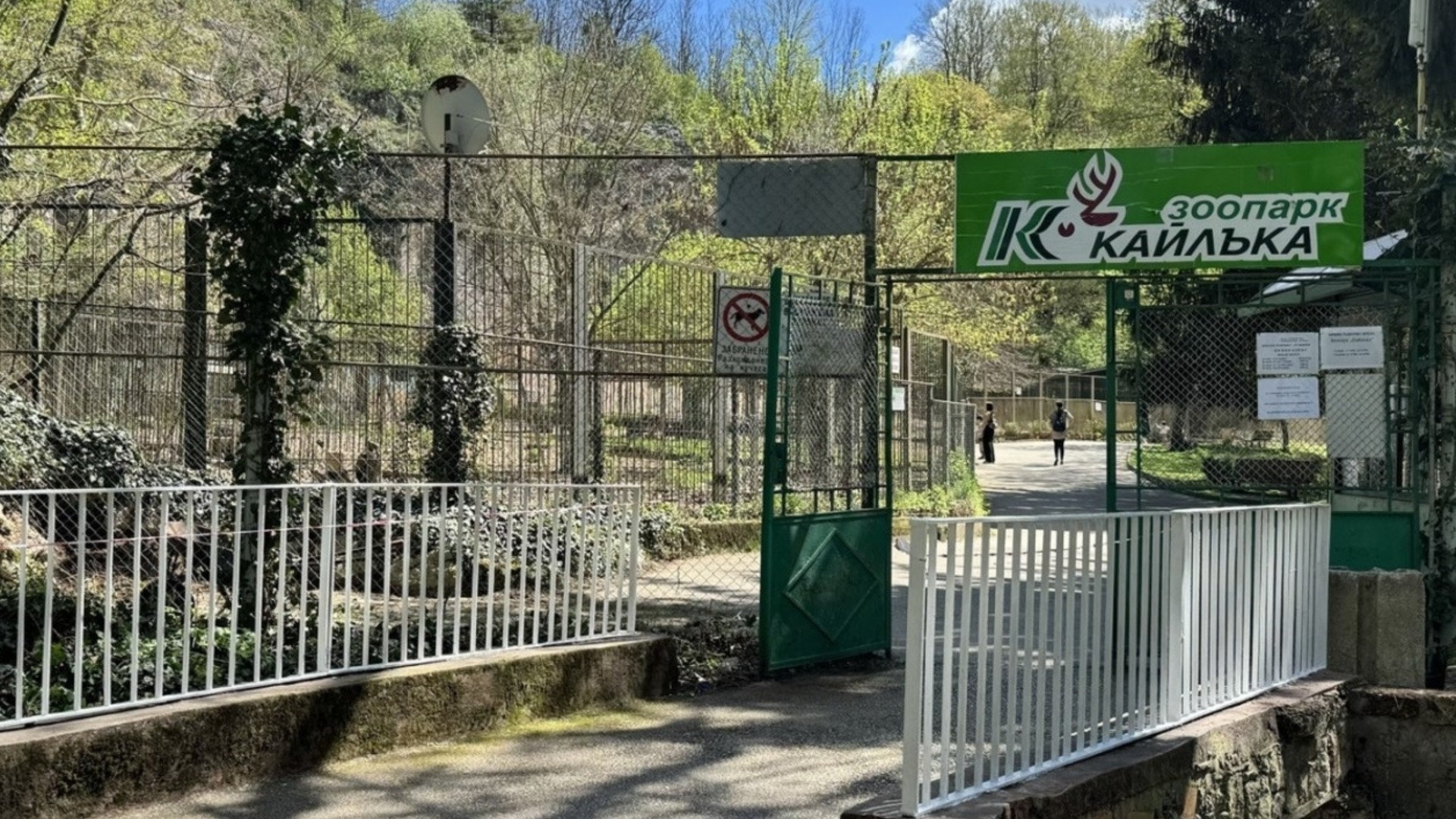 На 1 юни: Плевенският зоопарк в „Кайлъка“ ще бъде с безплатен вход за децата