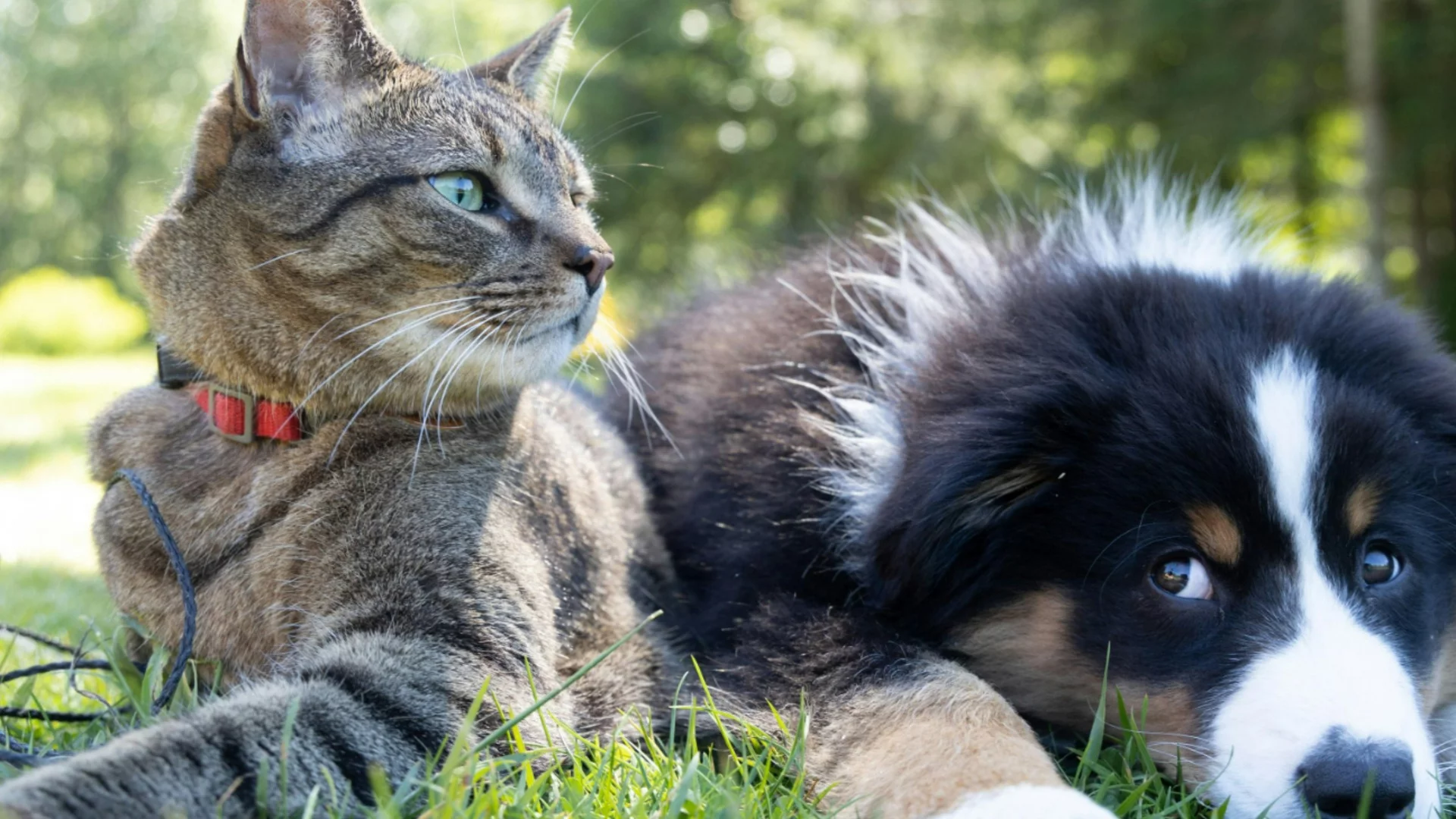 Прогноза за времето - 1 юни 2026 г. (понеделник)