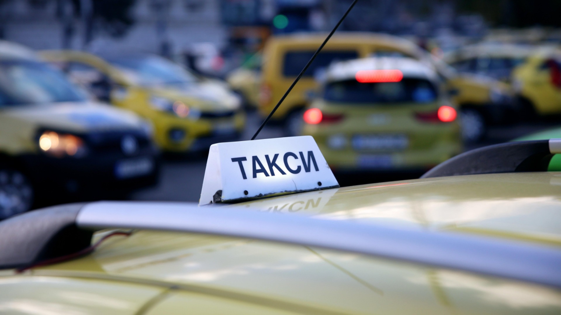34 евро с такси от хотел до хотел в Слънчев бряг: Британски 