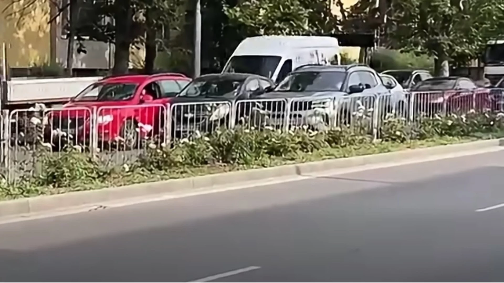 Катастрофа на живо: ПТП се случи по време на брифинг за ПТП-тата в Пловдив, веднага бе определен и виновникът (ВИДЕО)