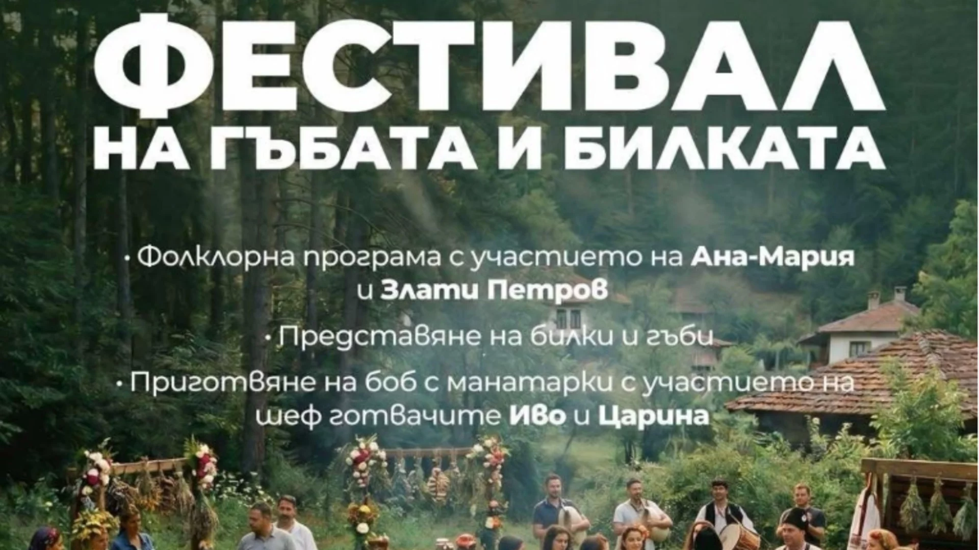 За първи път: Костинброд организира Фестивал на гъбата и билката