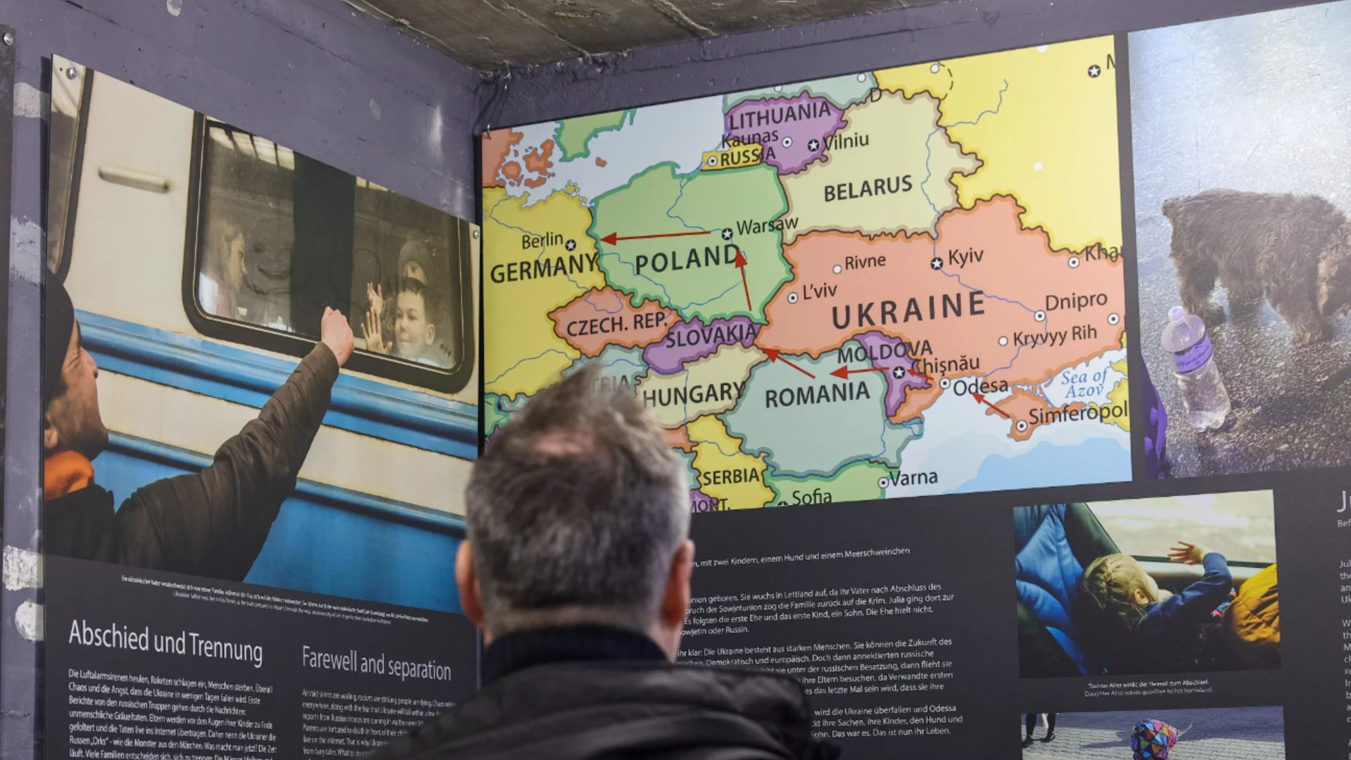 Ще се удължи ли закрилата за украинските бежанци? ЕК с предложение