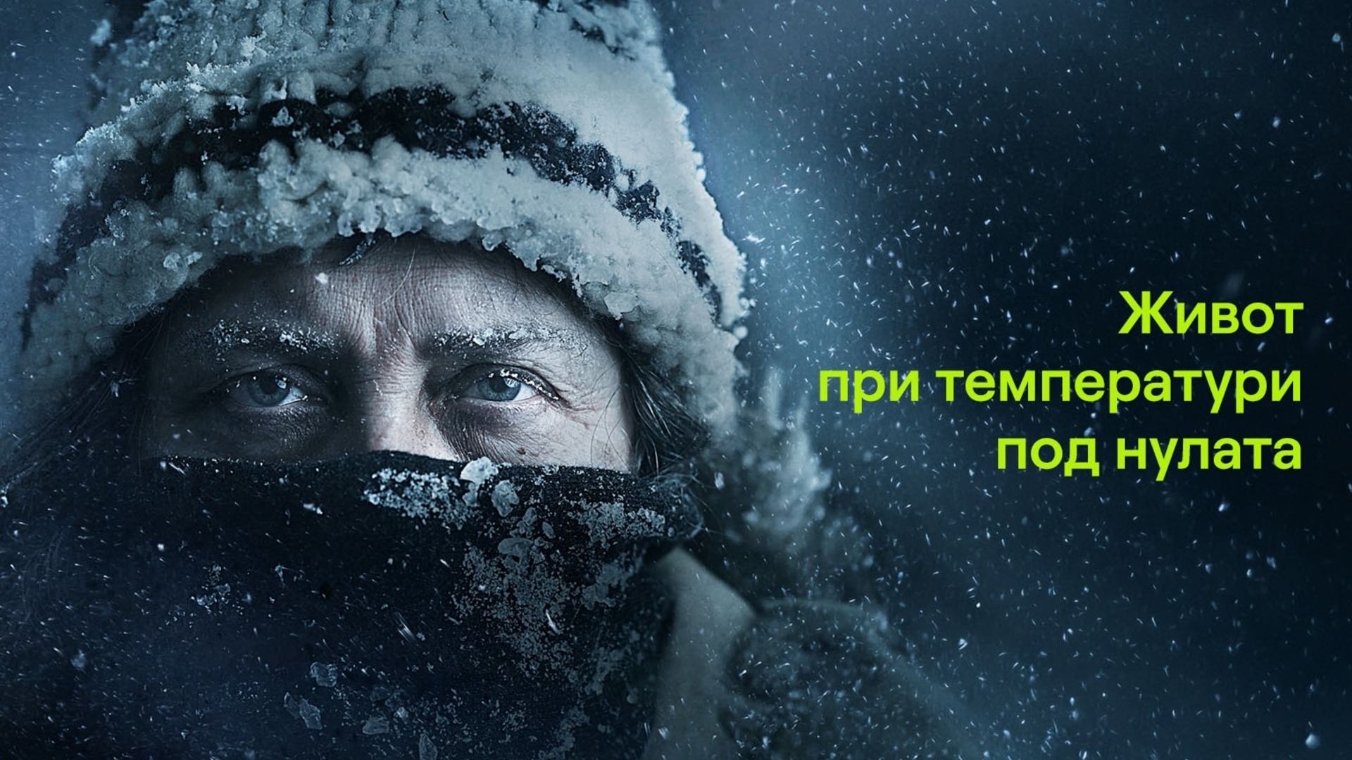 Viasat Nature: Запознайте се с героите на поредицата "Живот при температура под нулата" (ВИДЕО)