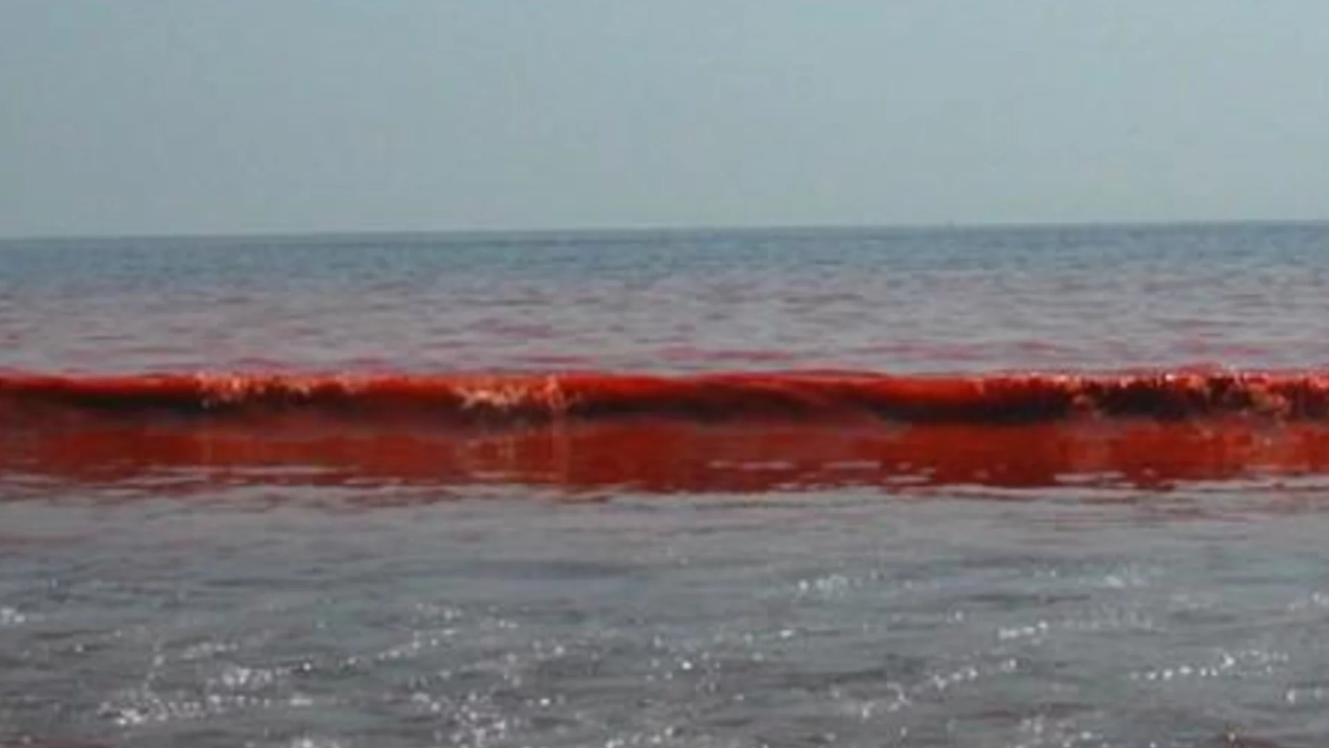 Екологична заплаха: Откриха километрични нефтени петна в Азовско море
