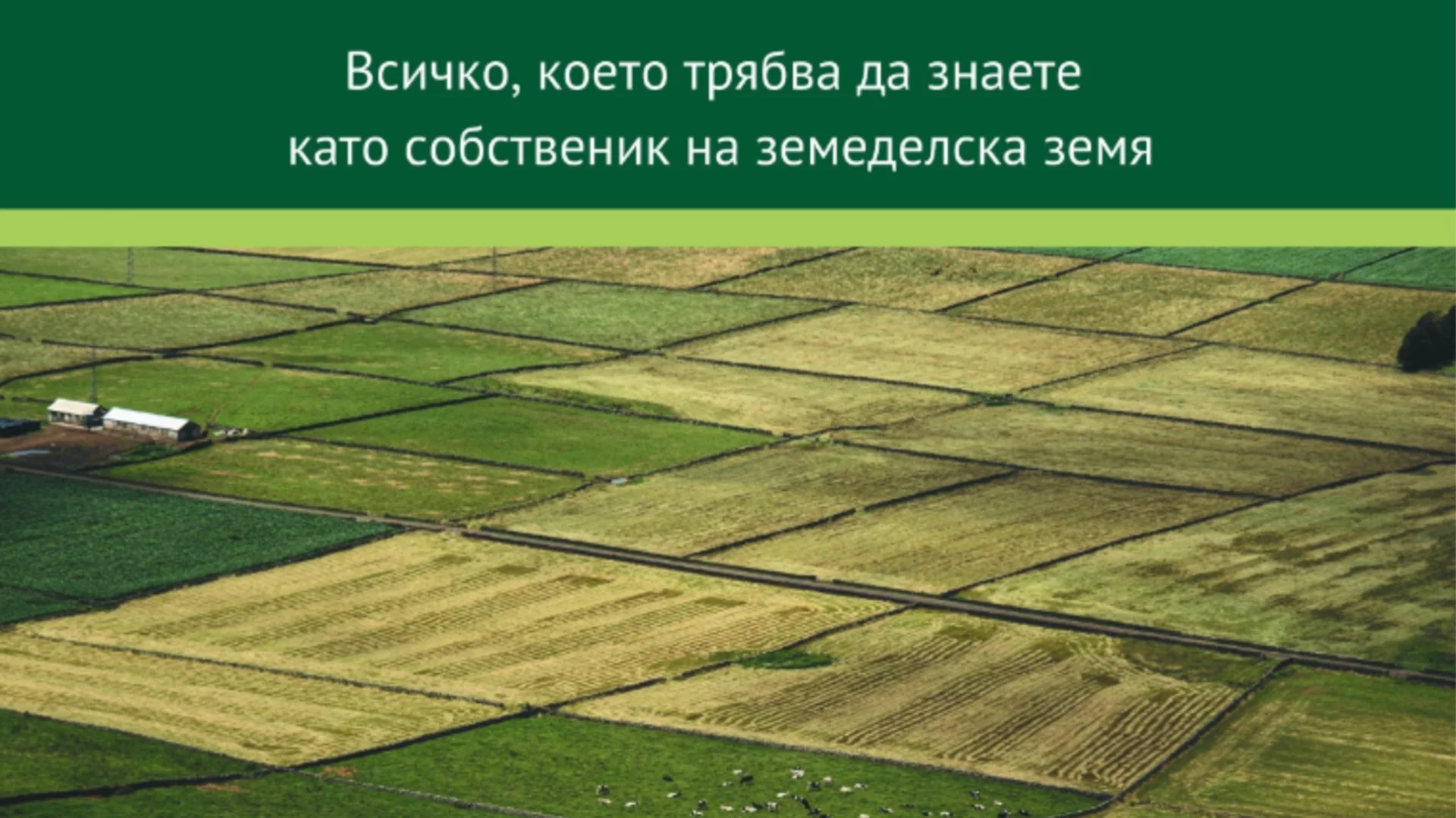 Собственици губят доходи от земята си всяка година