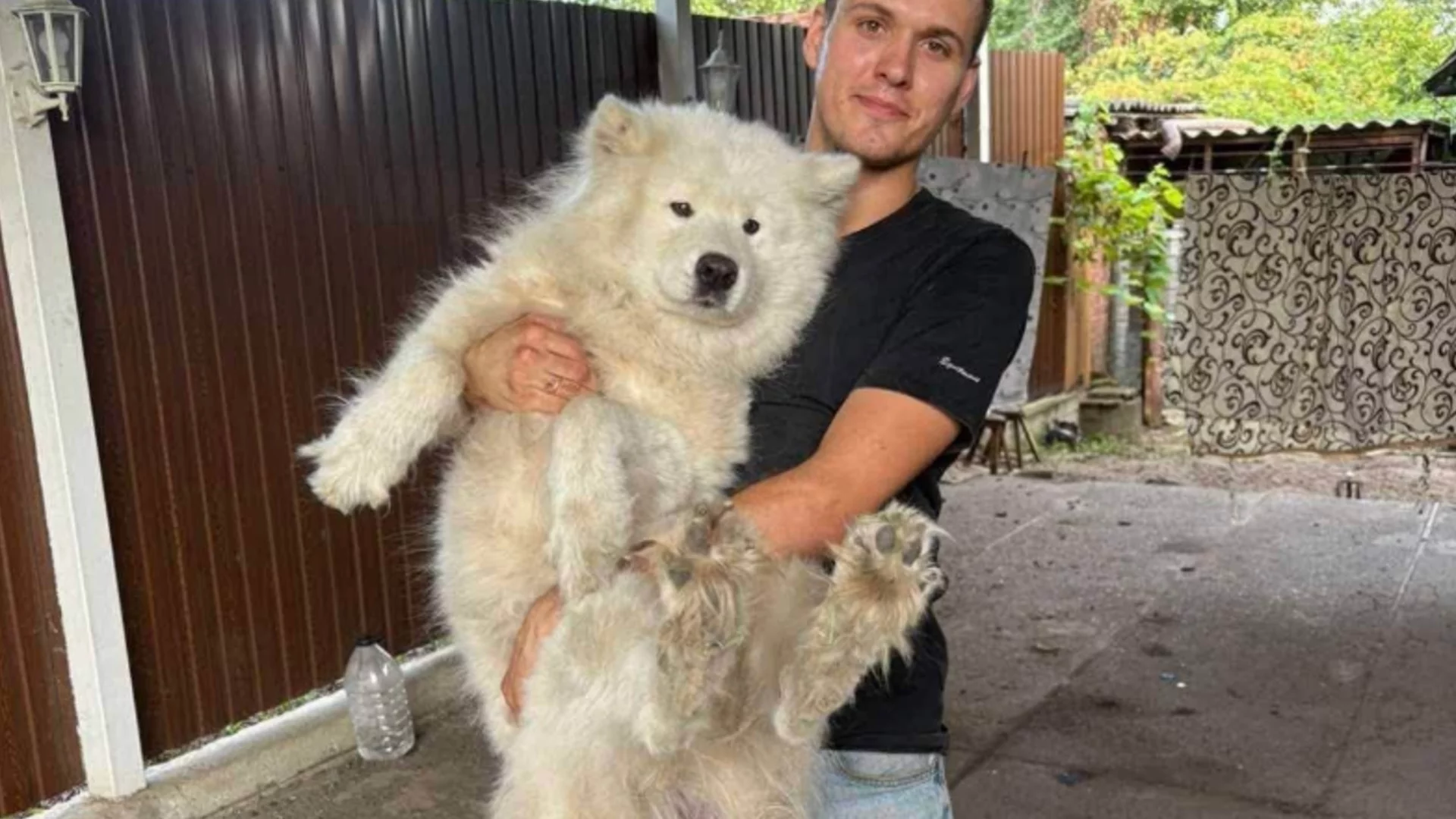Скандал с куче в Украйна доведе до уволнения, но завърши с изненадващ обрат