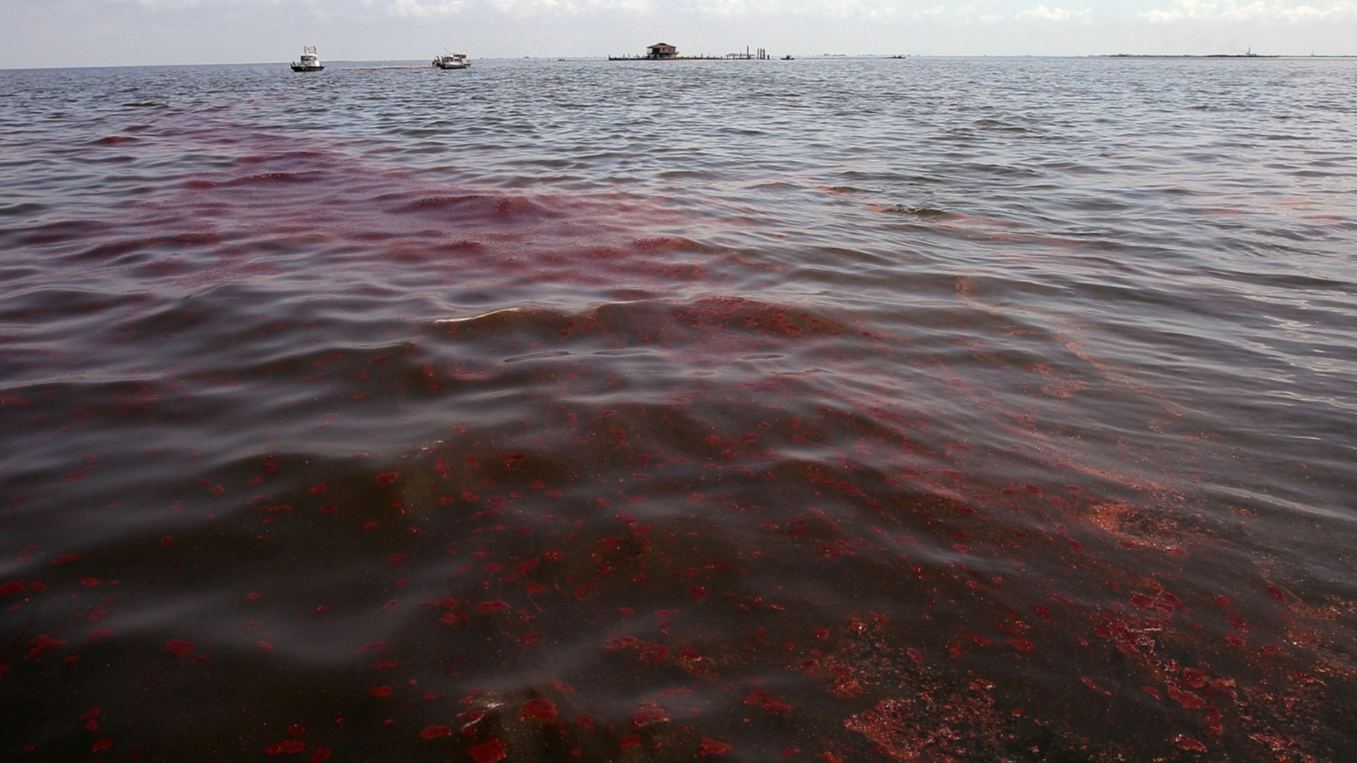 40 000 футболни игрища: Петролен разлив в Ормузкия проток, а Тръмп го няма никакъв с Иран (СНИМКИ и ВИДЕО)