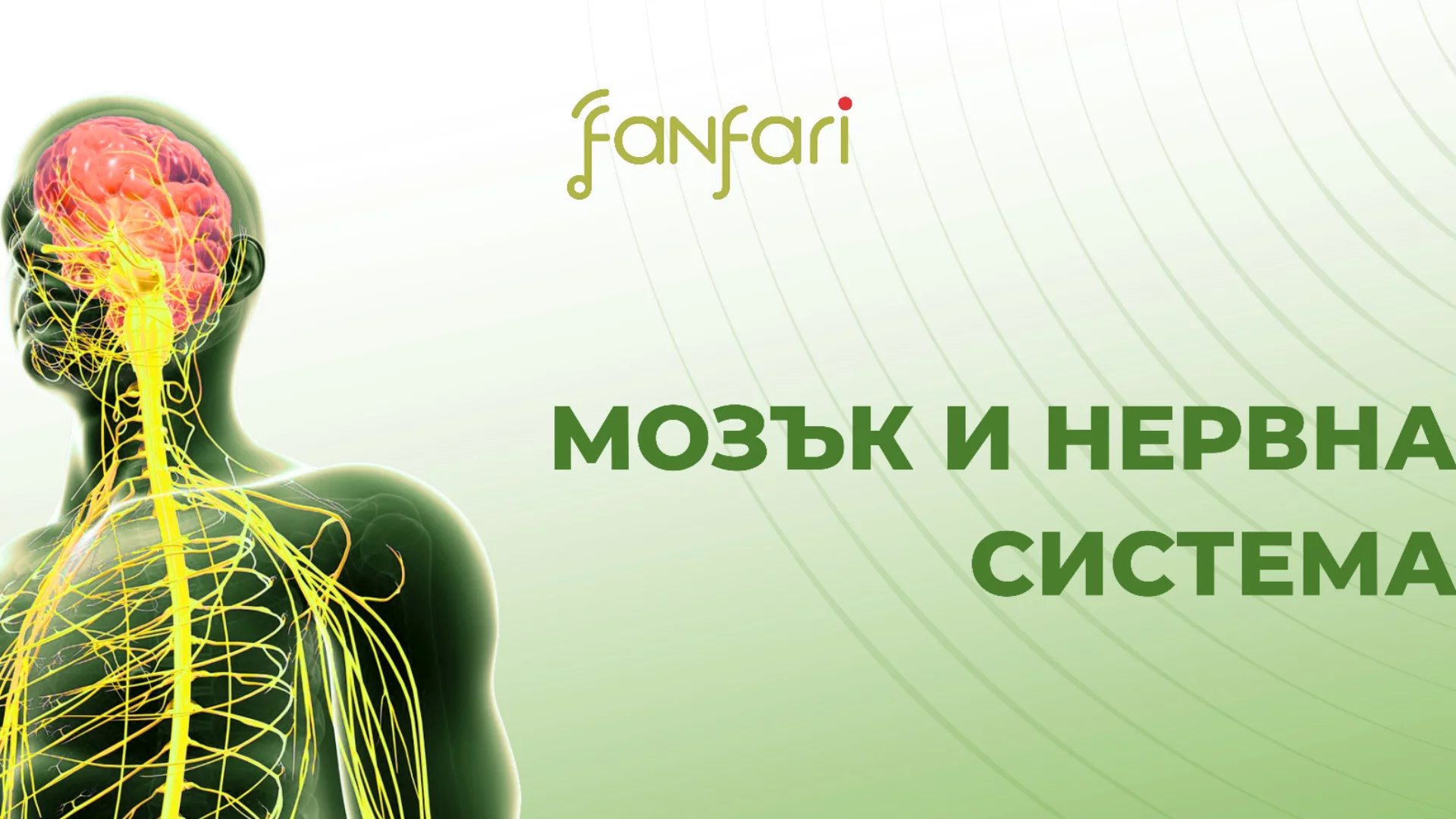 Как да запазим концентрацията и умствената си енергия в динамичното ежедневие?