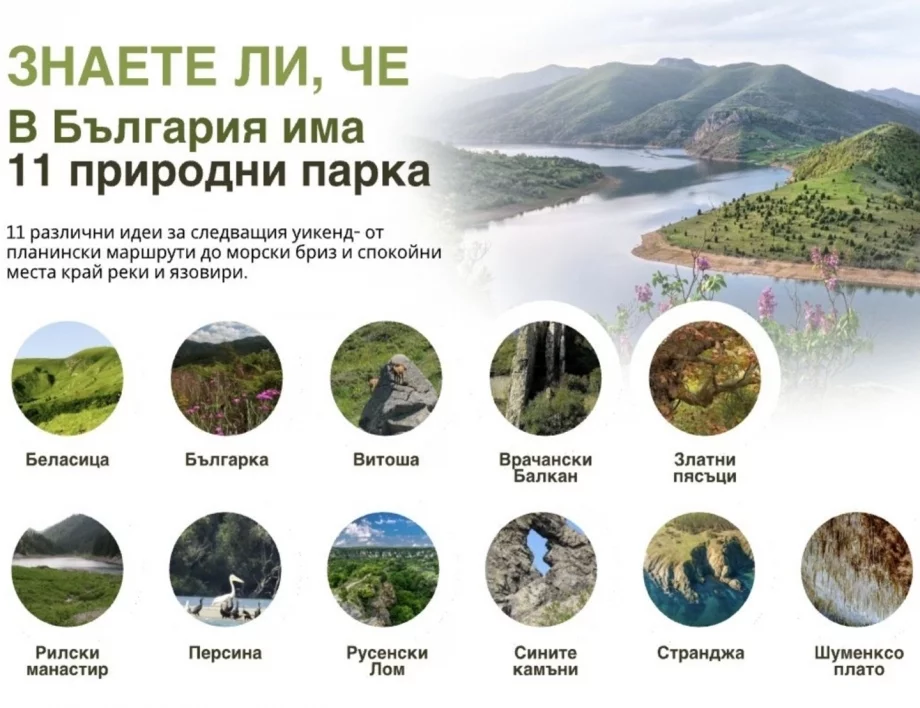 Пикник през август? Места, идеи и няколко важни правила