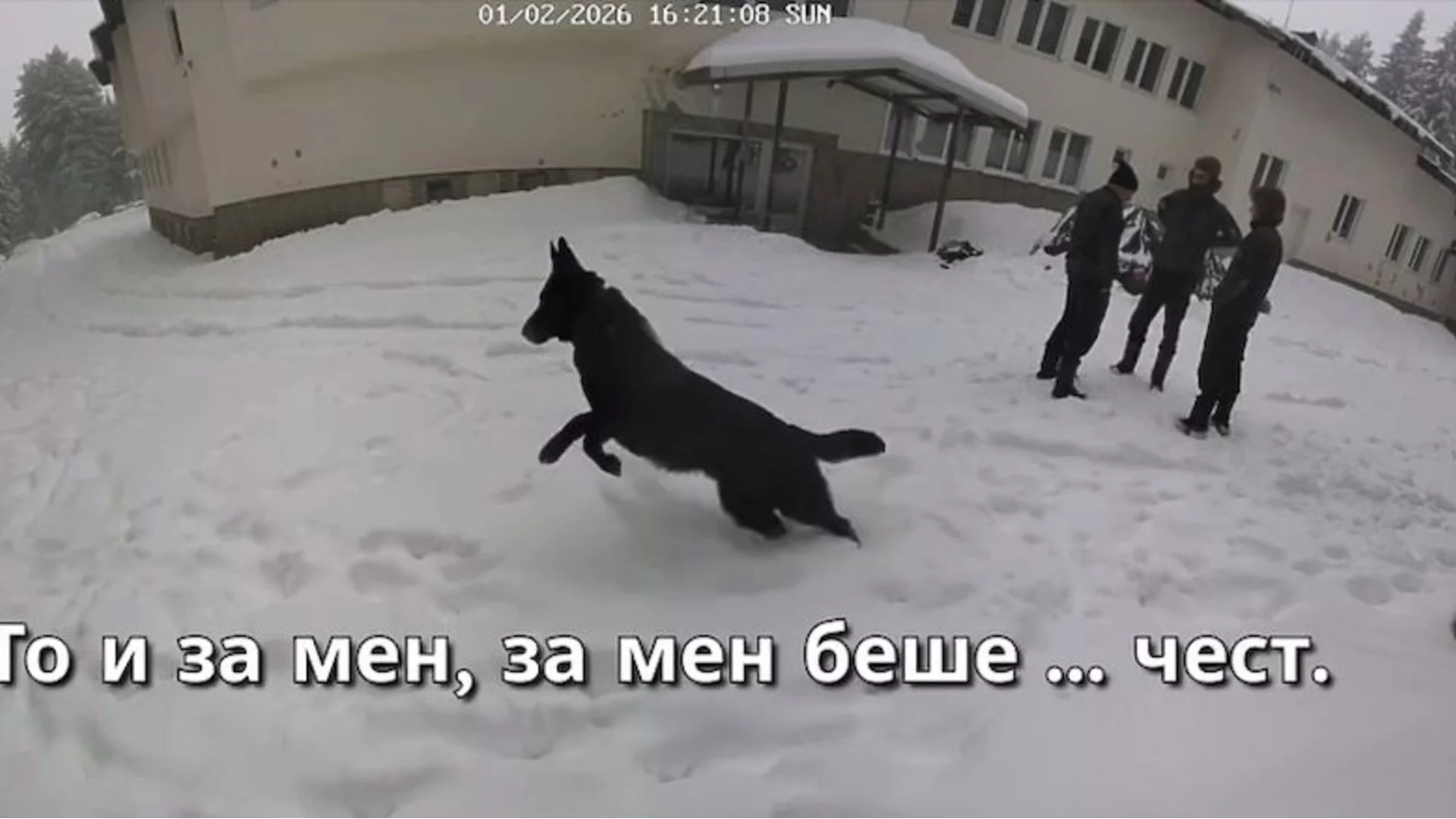 "Калушев е сексуален насилник": Криминален психолог за евентуалните мотиви за трагедията "Петрохан-Околчица"