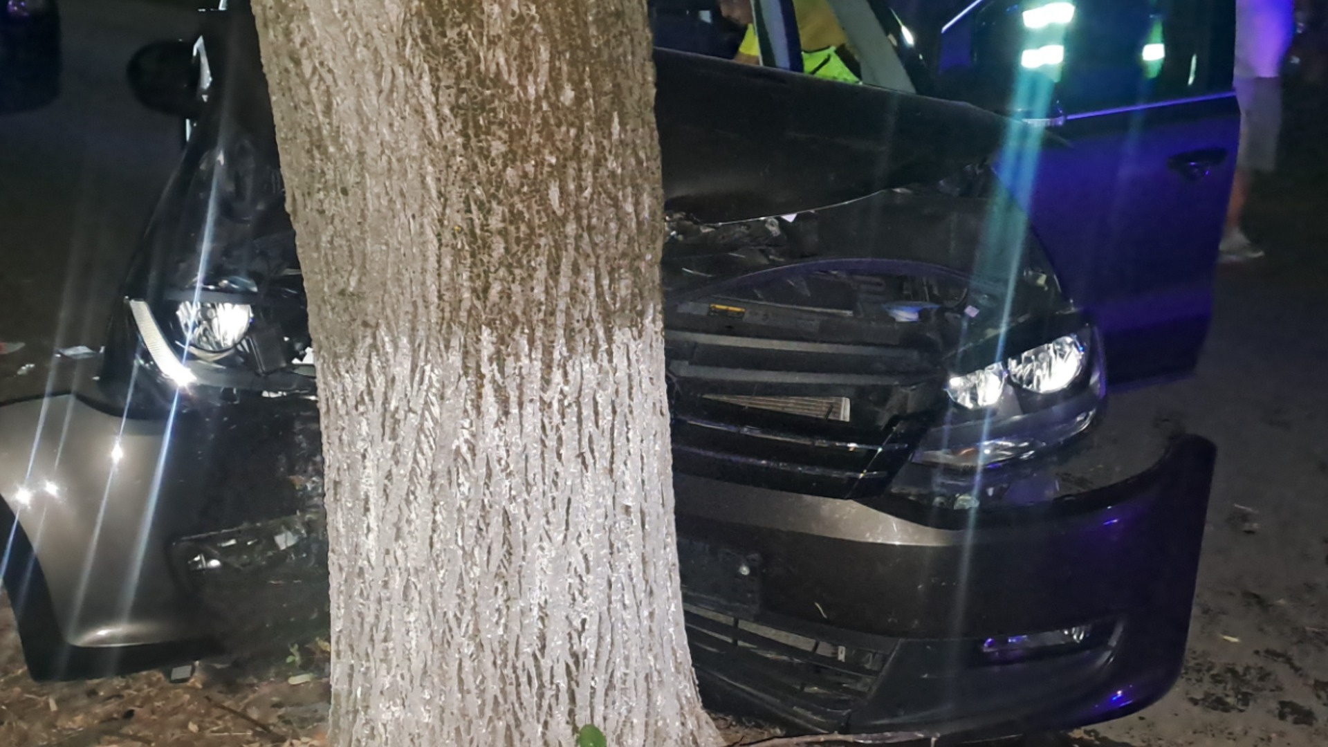 Забил се в крайпътно дърво: Шофьор загина на място в Монтанско