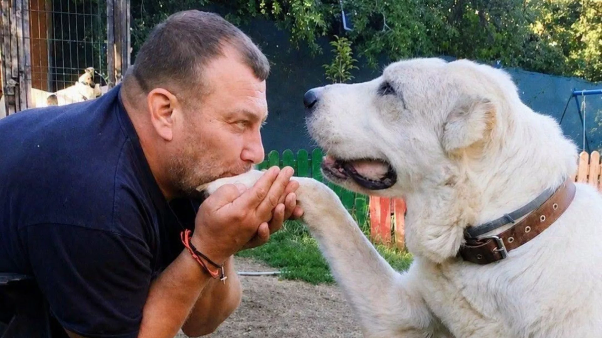 От пациент на д-р Тивчев до негов съотборник: историята на Коко Канарио