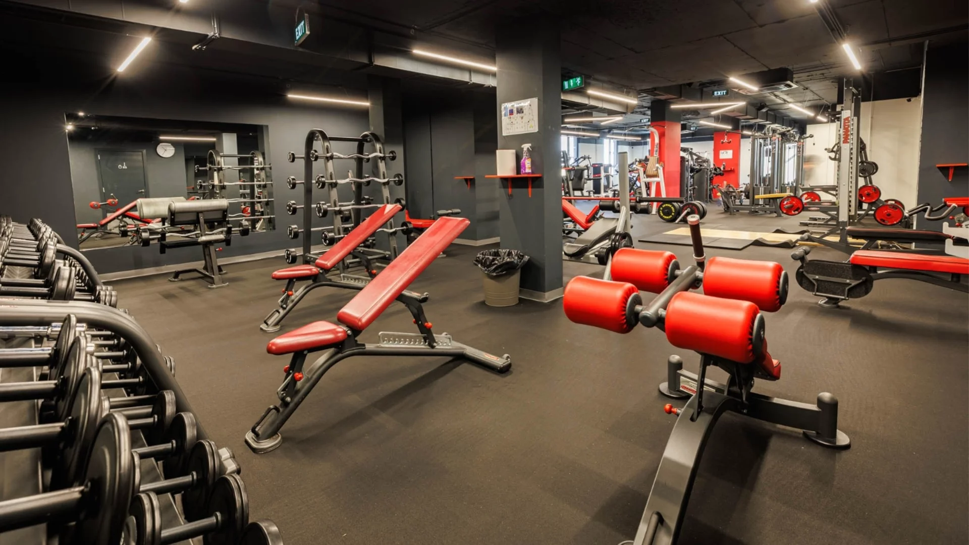 Обратно във форма: Новият сезон започва в La Palestra