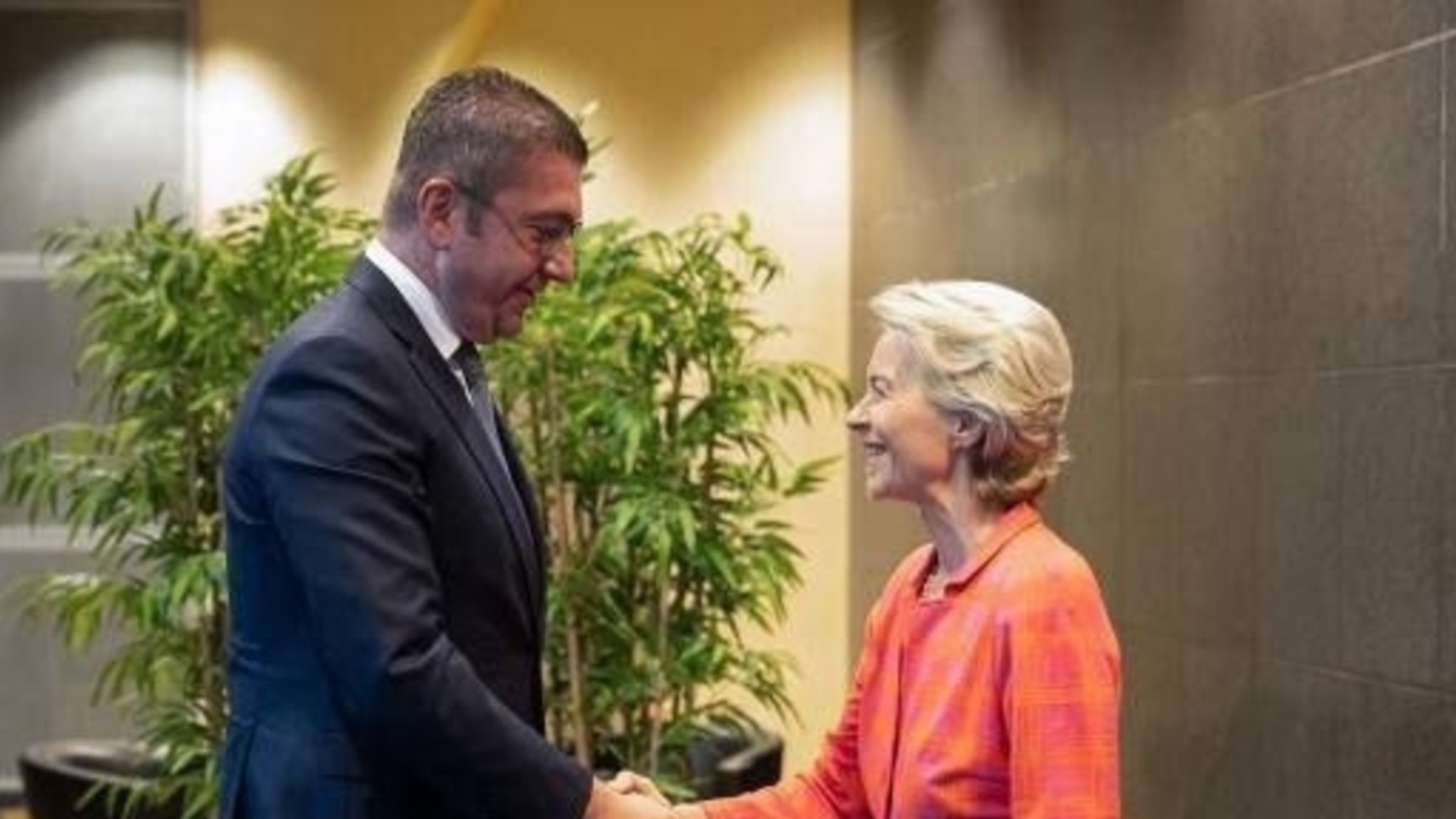 Мицкоски поиска от Фон дер Лайен подкрепа срещу България