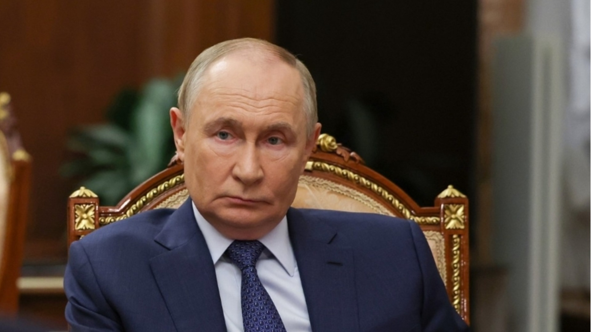 Подарък от Прага с любов: Ликът на Путин се появи върху торбички за кучешки екскременти (СНИМКА)