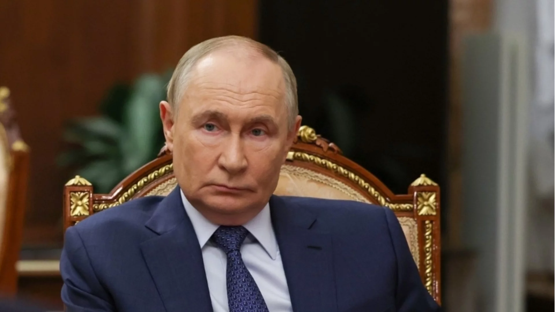 Подарък от Прага с любов: Ликът на Путин се появи върху торбички за кучешки екскременти (СНИМКА)
