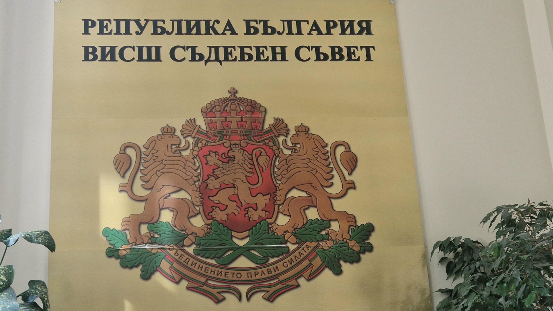 Може ли ВСС да се промени с магическа пръчка: Янкулов съобщи за бунт и надежда за нов главен прокурор
