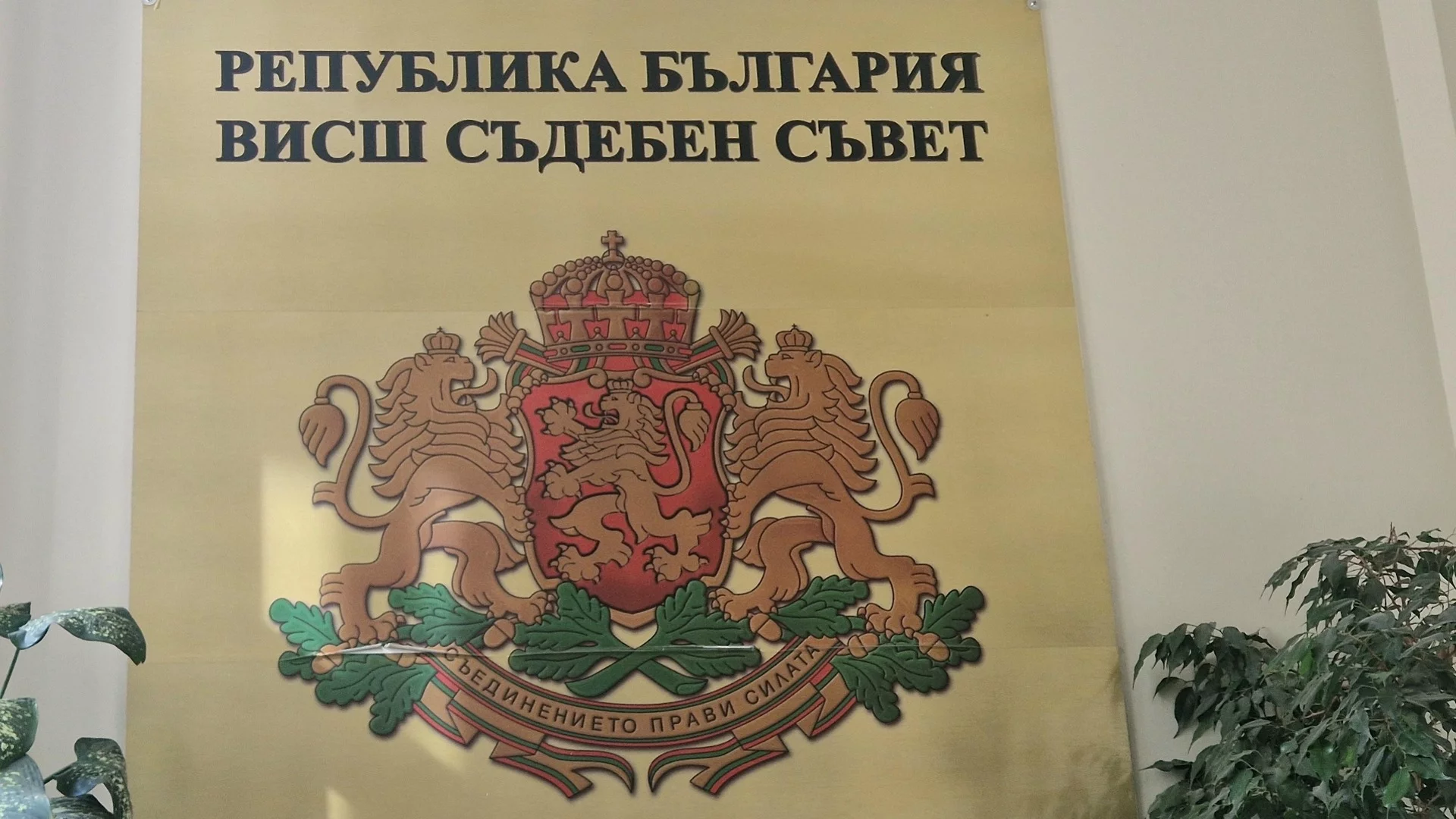 Може ли ВСС да се промени с магическа пръчка: Янкулов съобщи за бунт и надежда за нов главен прокурор