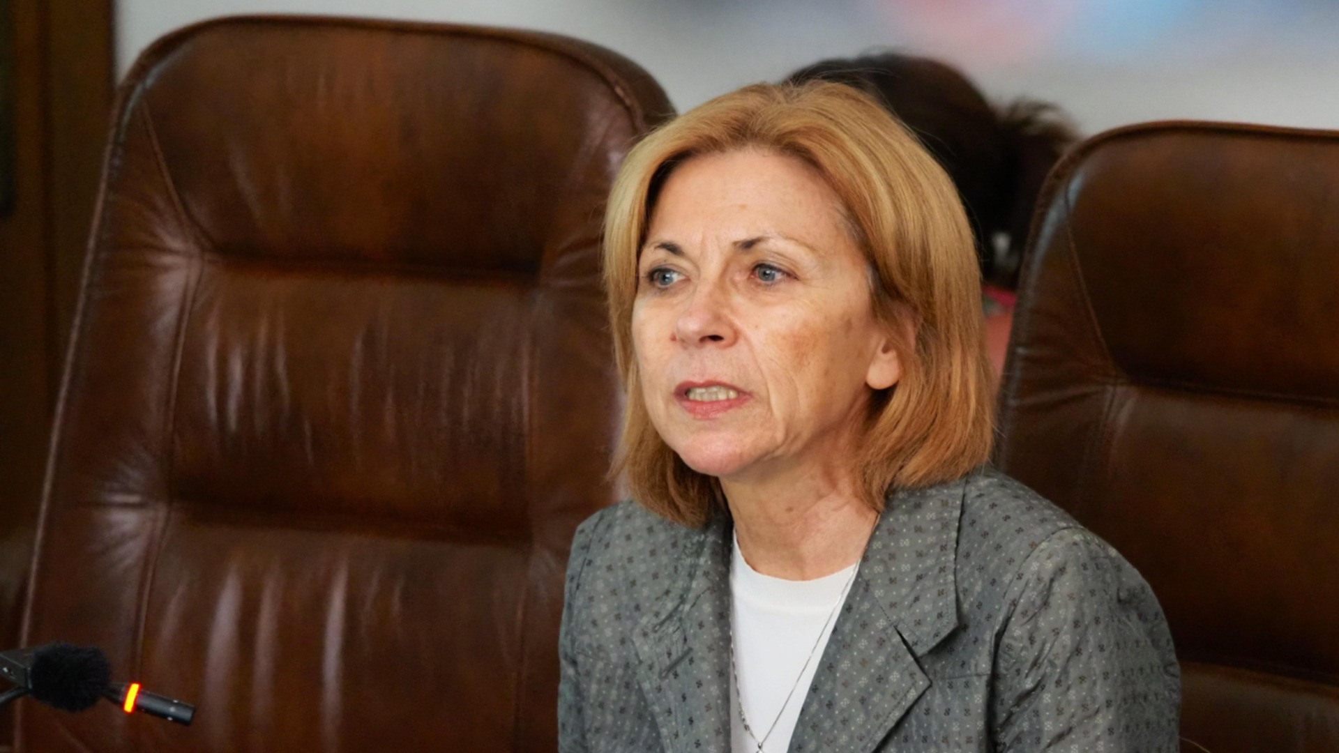 "Най-големият спад е в управляващата политическа сила": Боряна Димитрова за избирателната активност