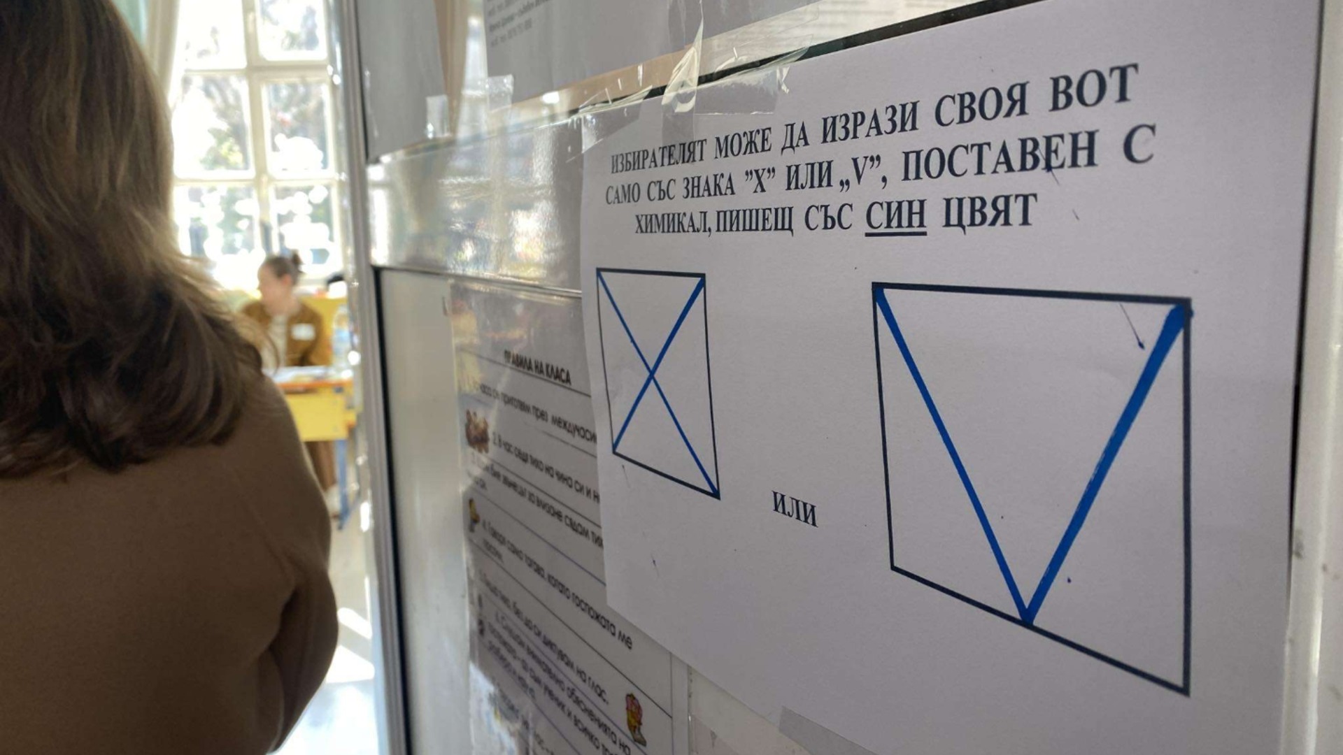"Виновни са си политици": Политолози прогнозират ниска активност и тежък балотаж