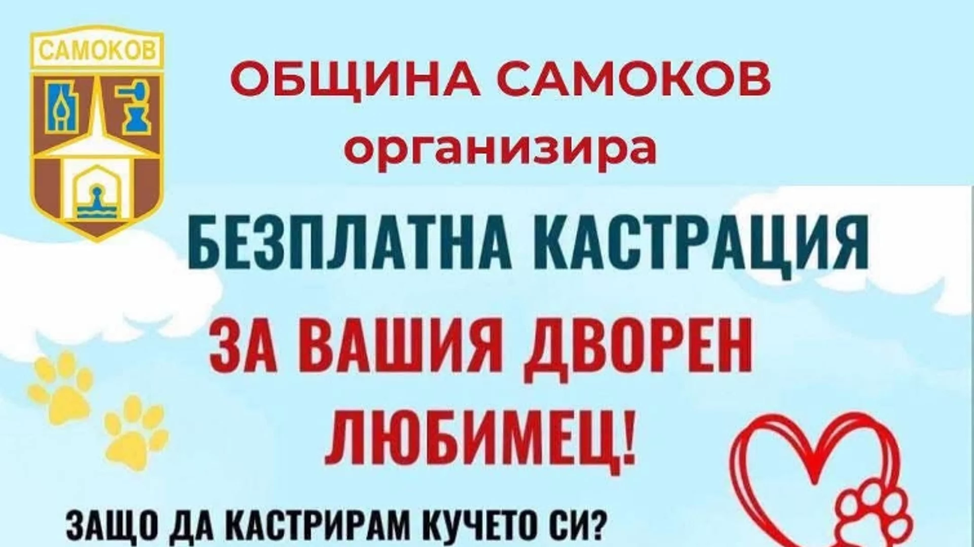 Община Самоков организира кампания за безплатна кастрация на дворни кучета