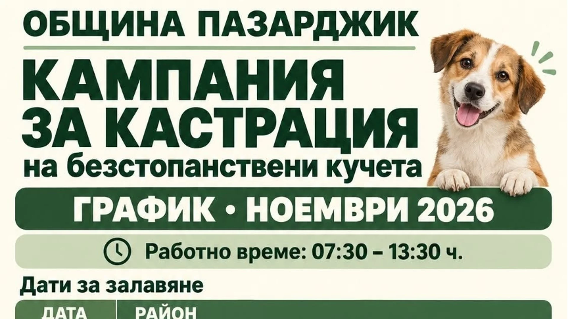 Община Пазарджик организира кампания за кастрация на безстопанствени кучета през ноември